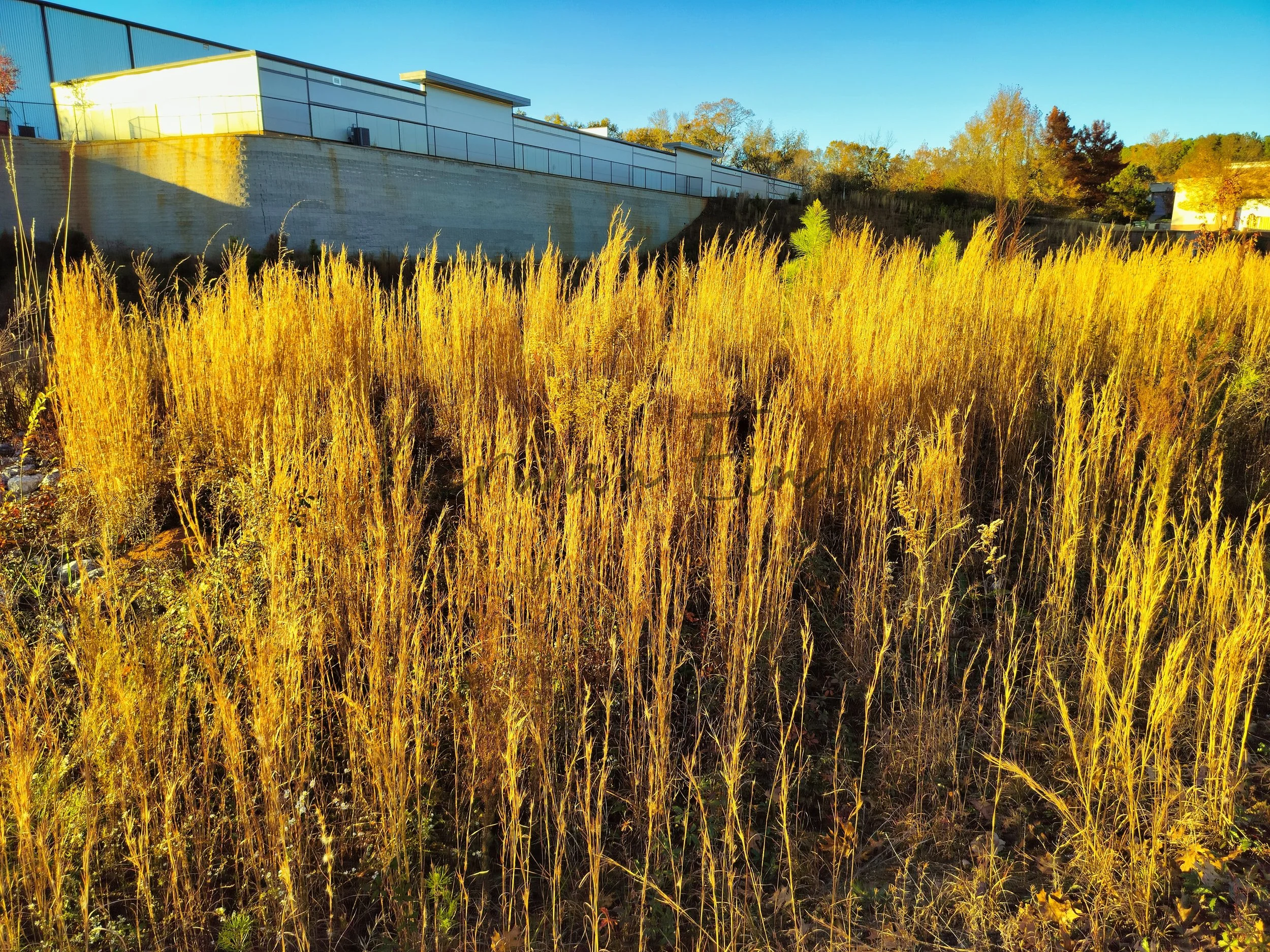 Stock Photo Pack (8).jpg