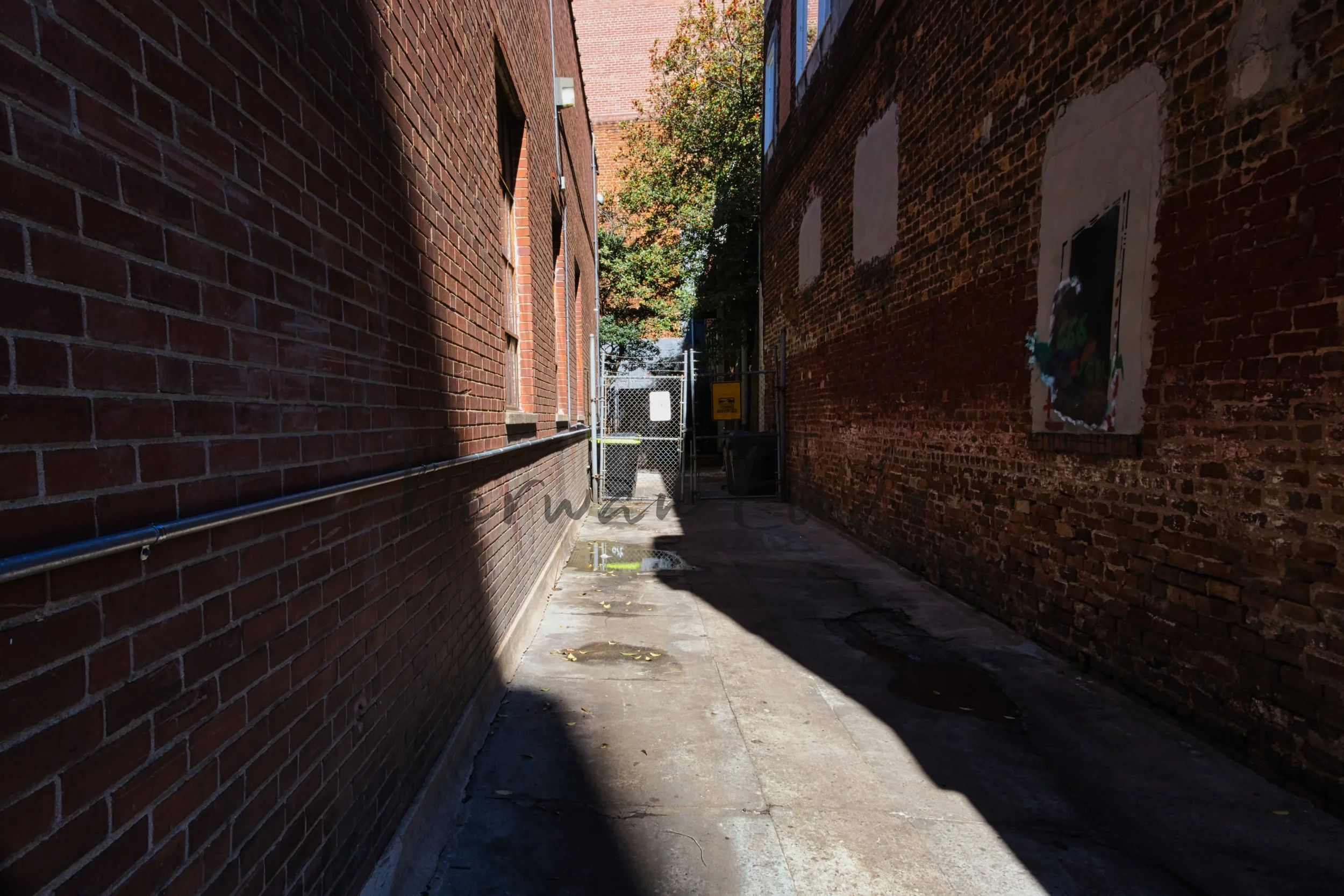 Stock Photo Pack (5).jpg