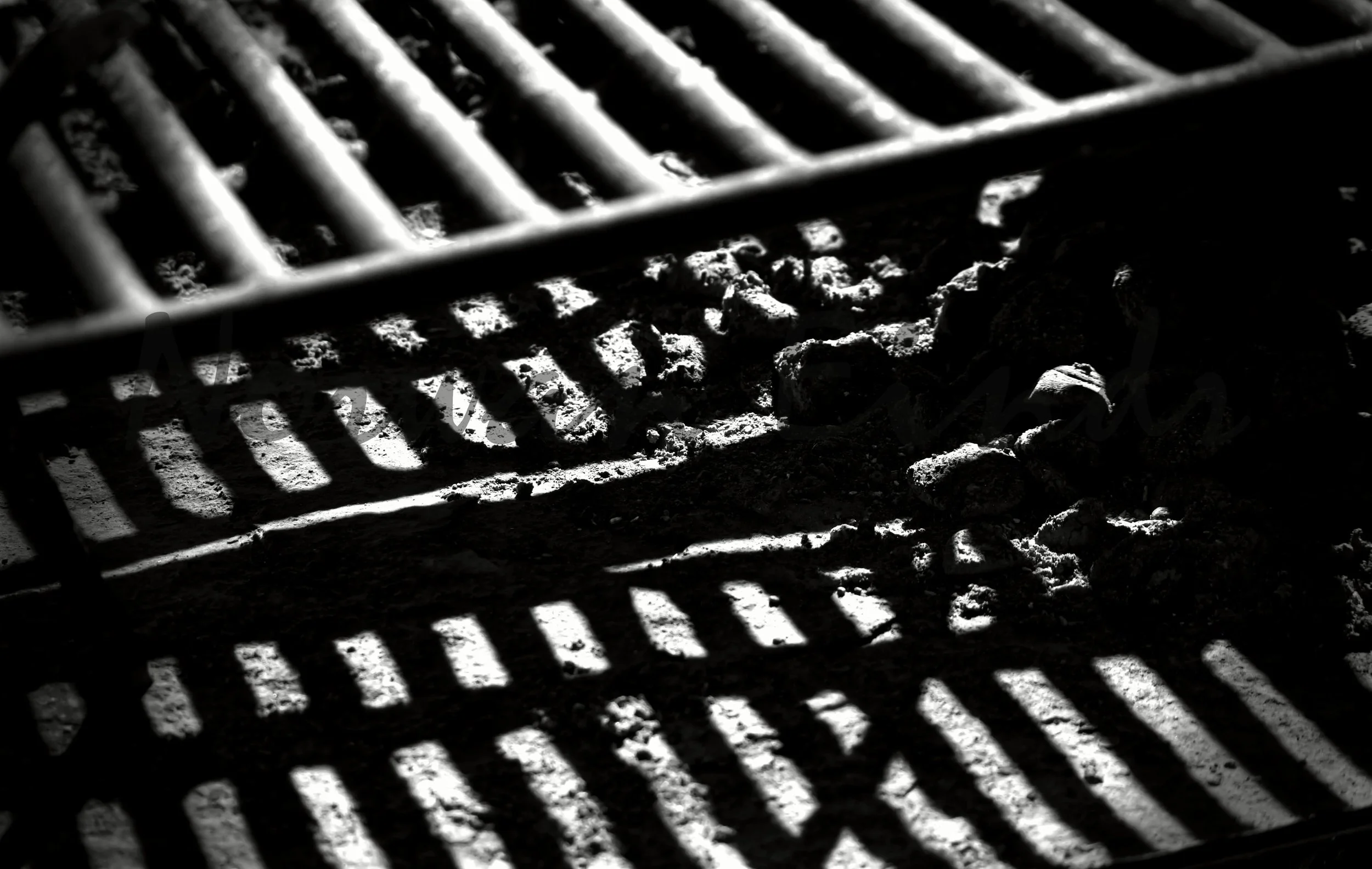In Absentia (8).jpg