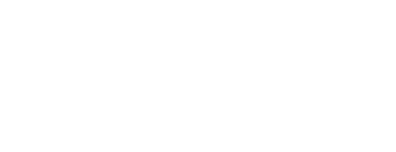 Brim Financial Logo