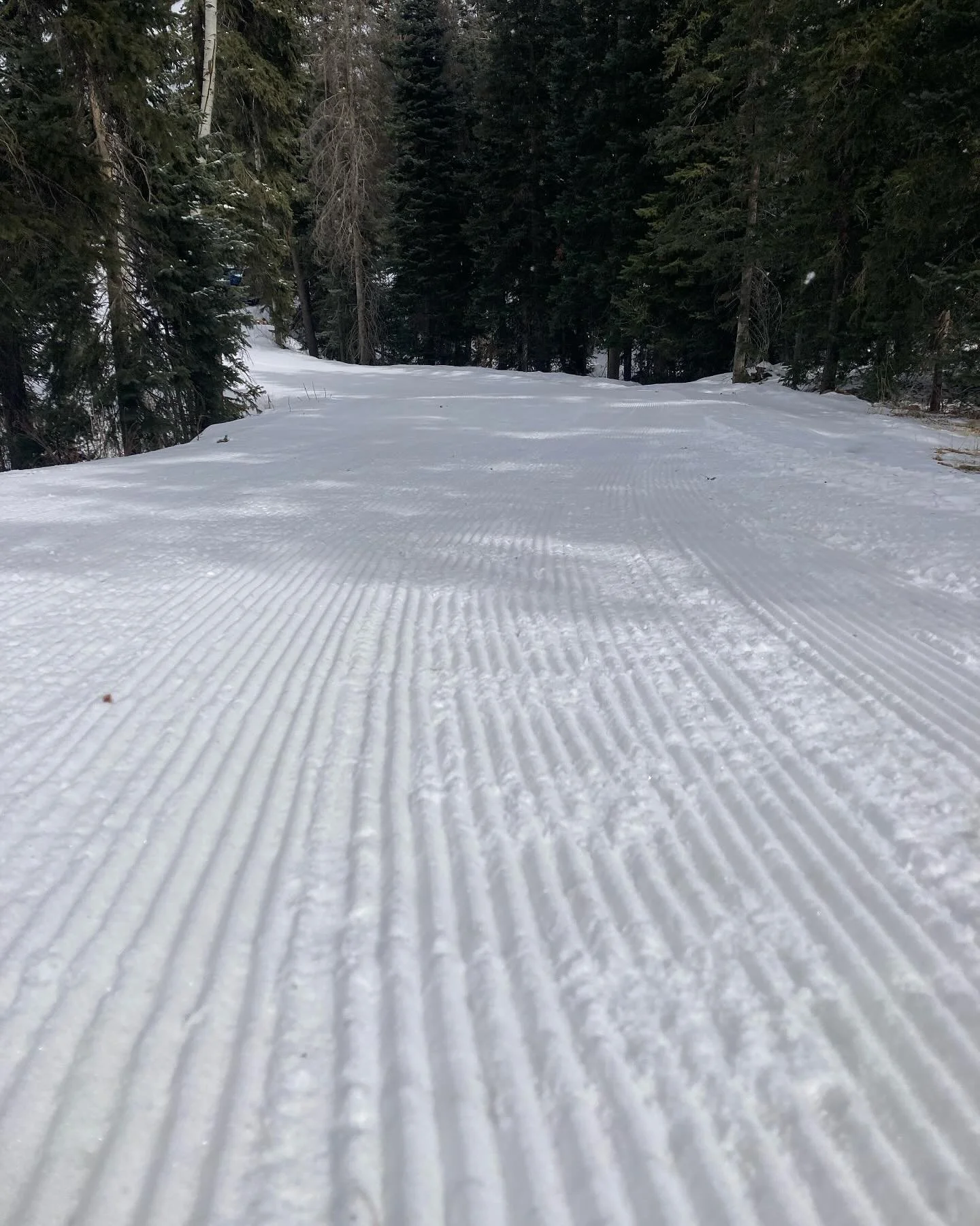 Groomed a bit for the team this afternoon. Aspen bench stadium corral. Approx 3 inches of fresh snow Monday. Hazards still exist.