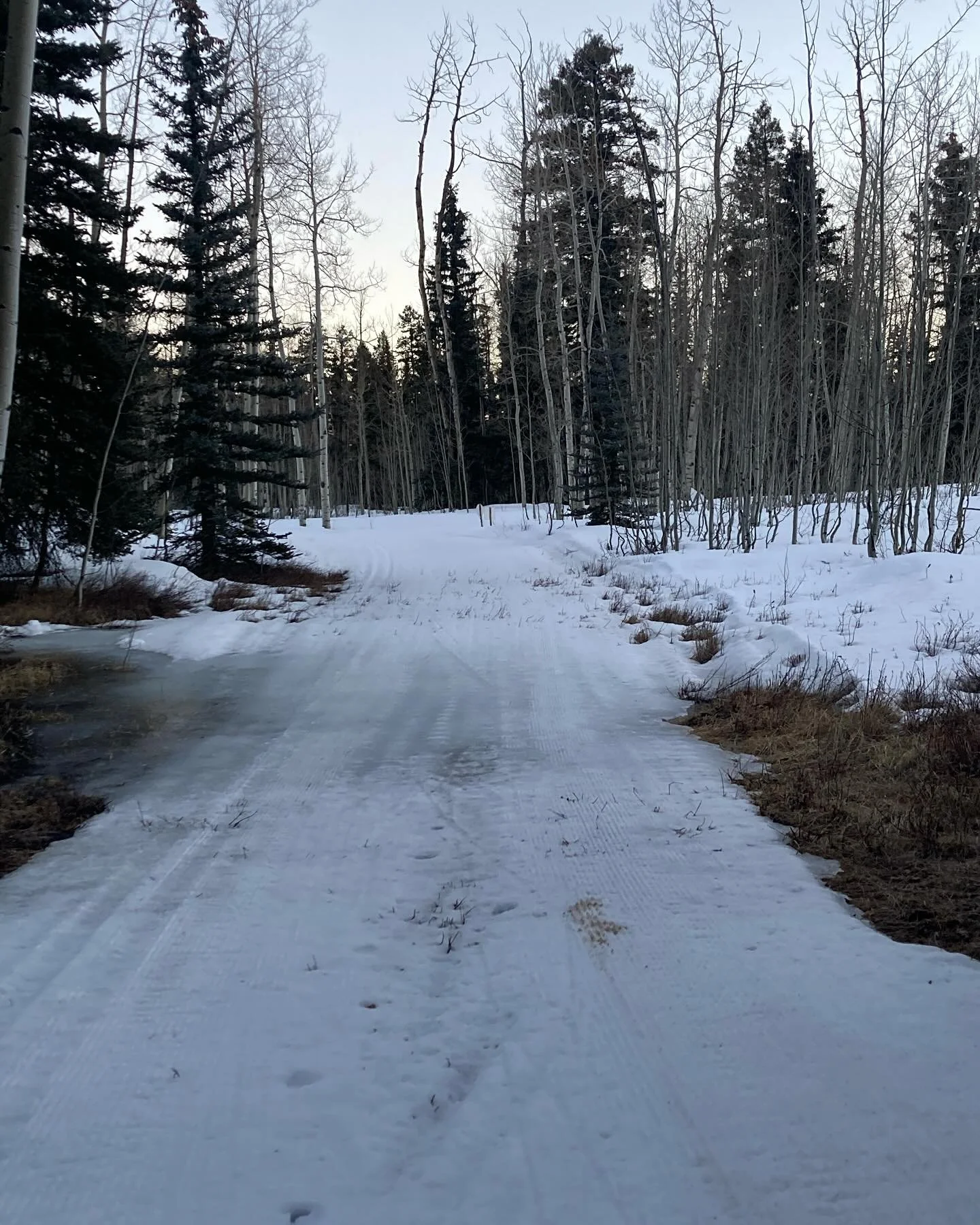 Groomed trails last night at sunset. Conditions look poor. Lots of hazards out there; dirt, ice, thin spots. Best trails look like the stadium, bench loop, aspen, and the corral. Boyce looks good but getting to and fro has its challenges