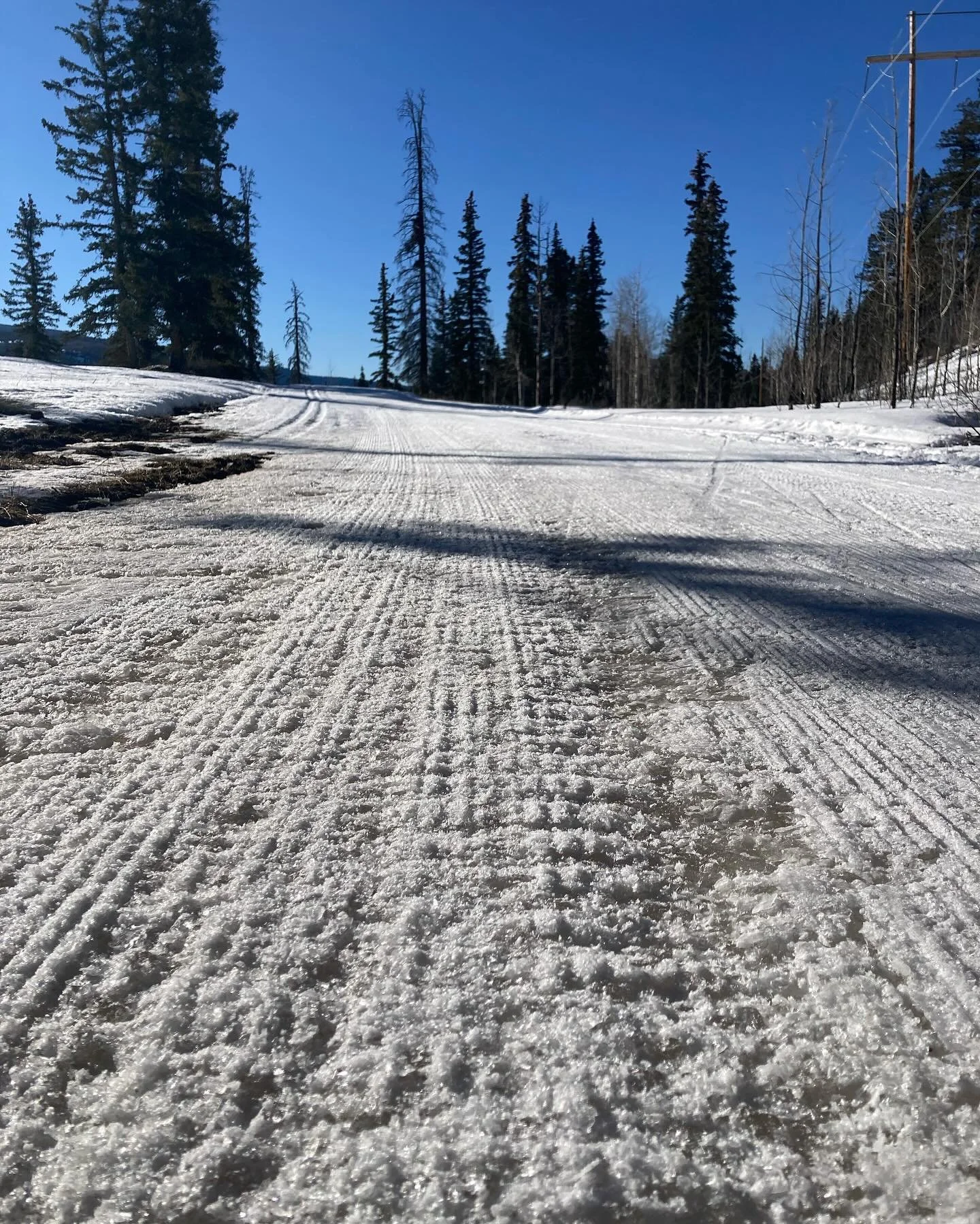 Crusty, icy conditions this morning. Dirt spots on ski trails, some must be walked. This has been a short ski season, we are trying to keep our trails open, but things are deteriorating rapidly. Ski while you still can. Be careful.