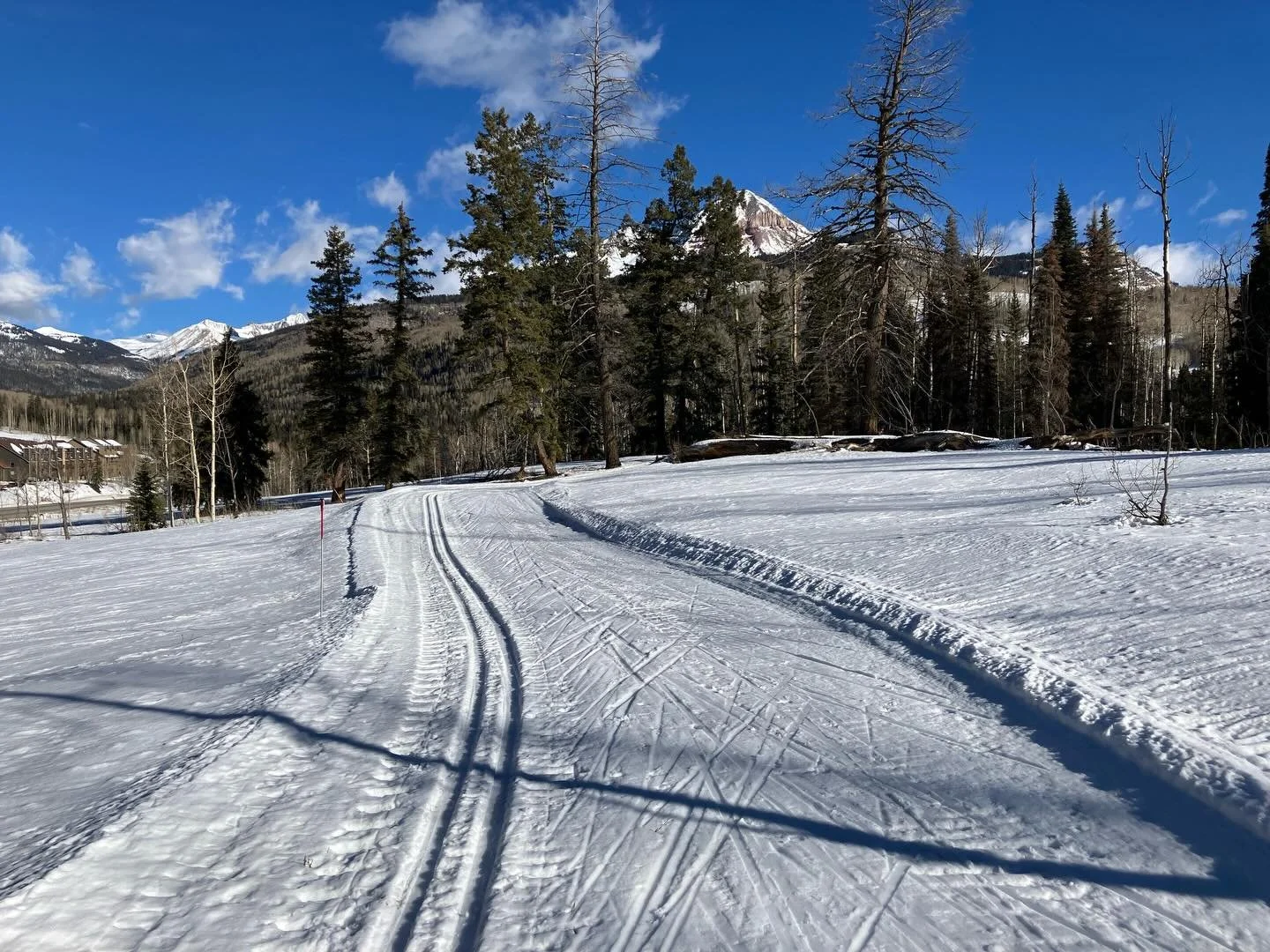 Bullet proof ice in the early morning, sloppy wet mash later in the morning.
Marginal grooming.