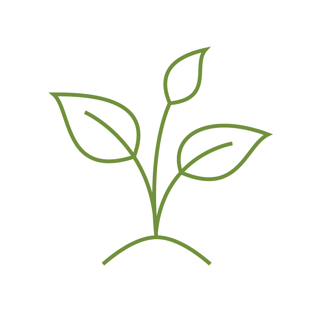 Outline drawing of a small plant with three leaves, showing a simple, minimalist style on a black background.