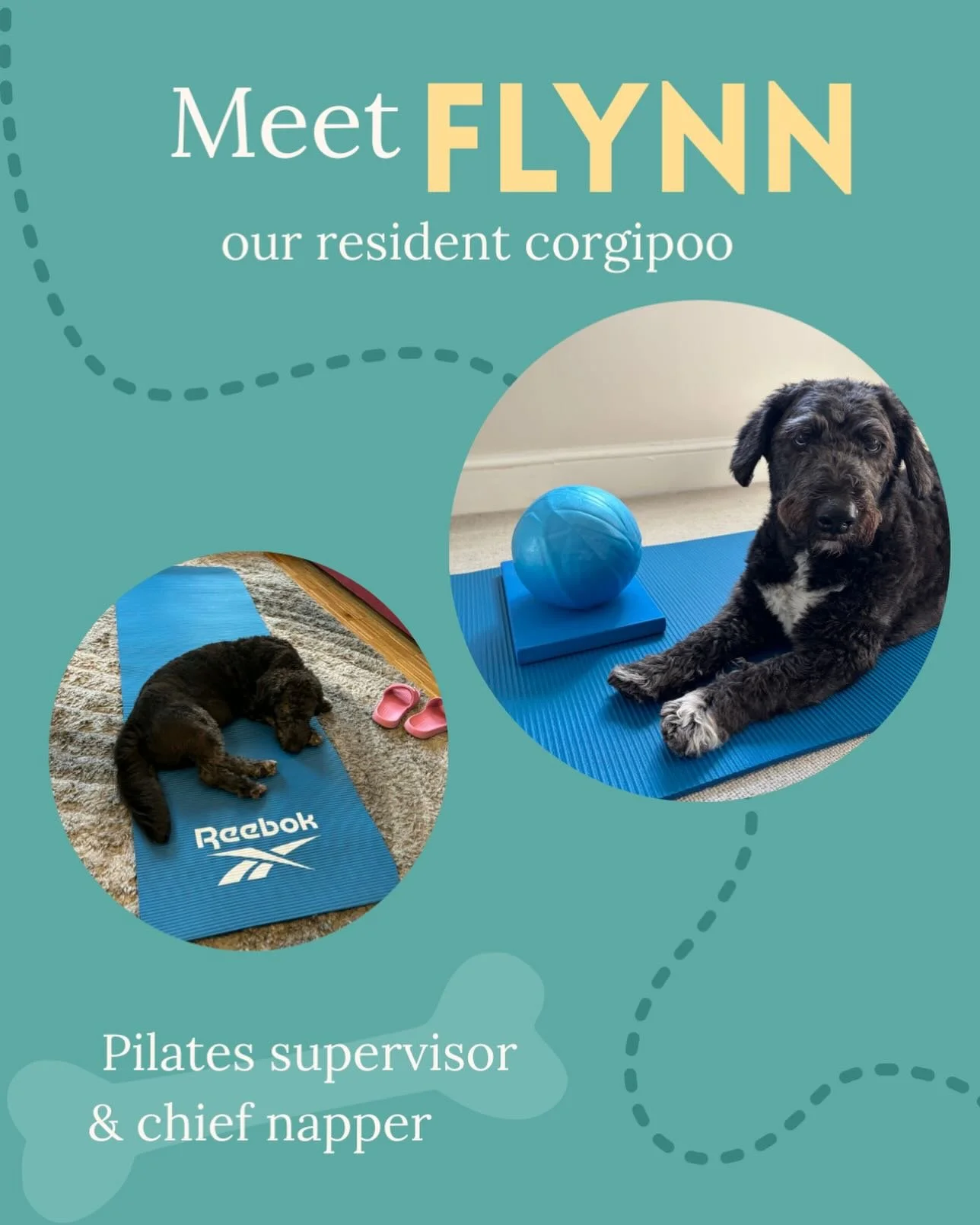 We call him our Pilates supervisor but he has been known to sleep on the job&hellip; 💤
Always available to join sessions when requested 🐕&zwj;🦺

#puppypilates #dogsdaily #pilates #londonpilates