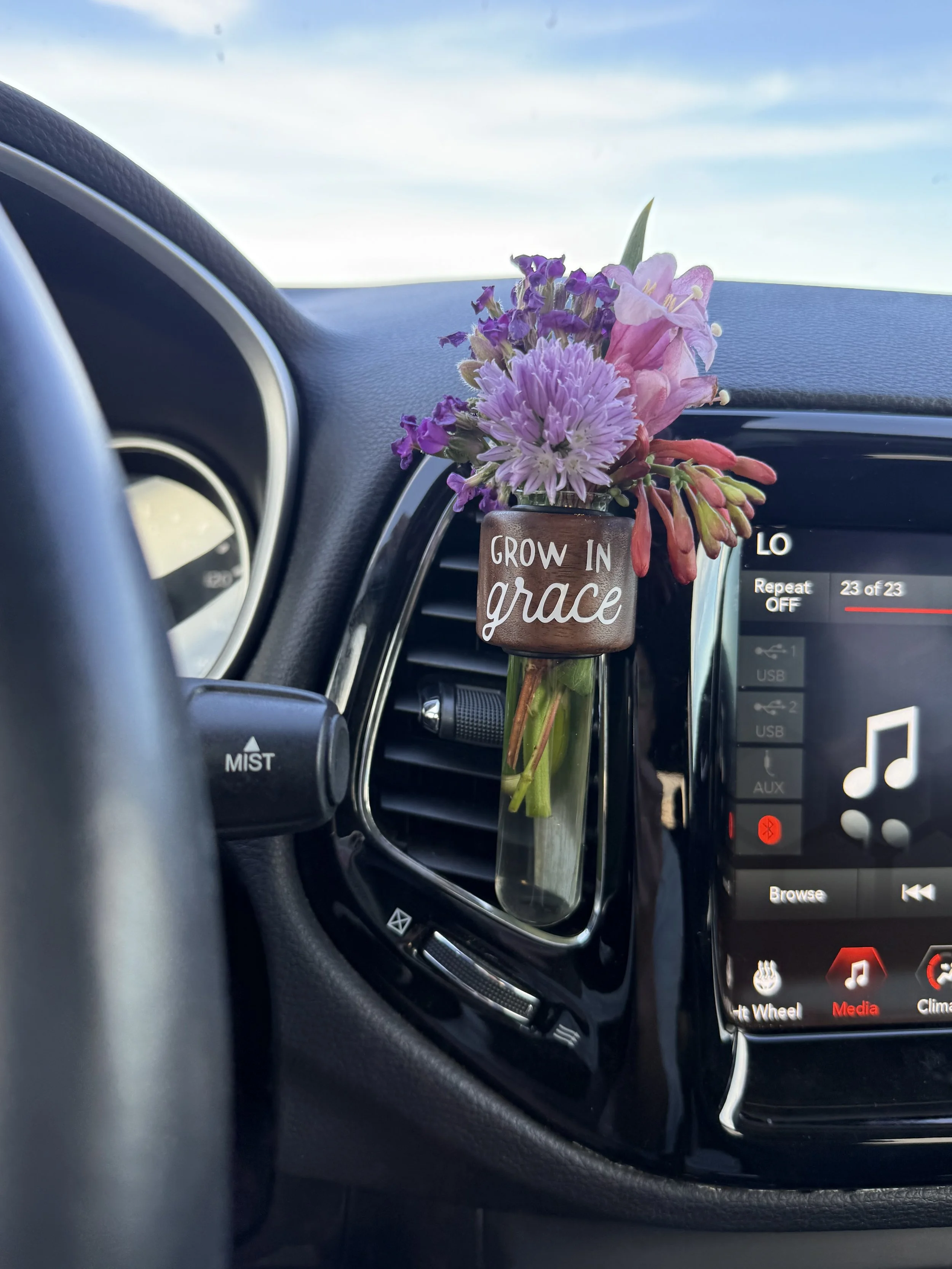 Mini Car Vases