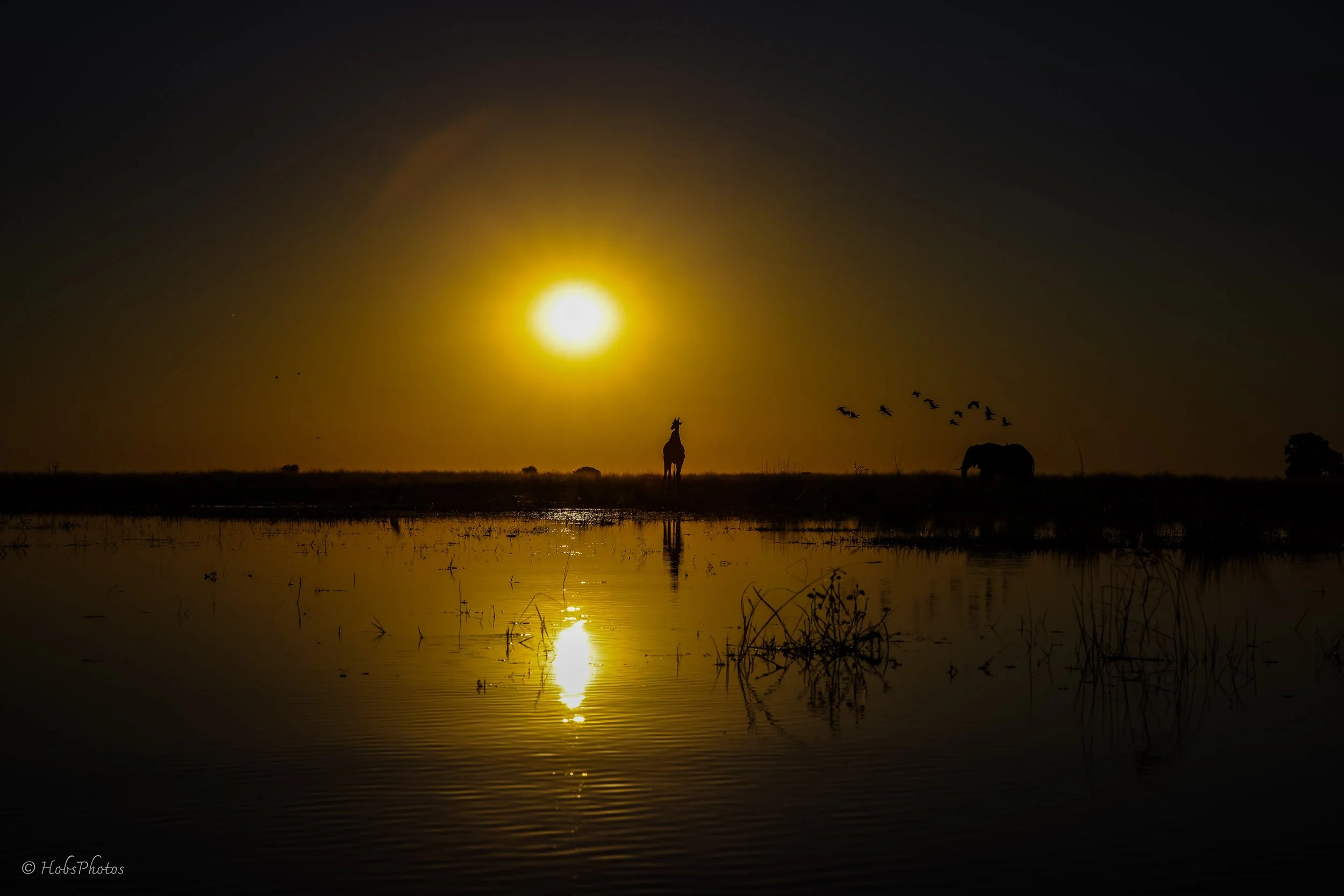 3N0A8716.jpg
