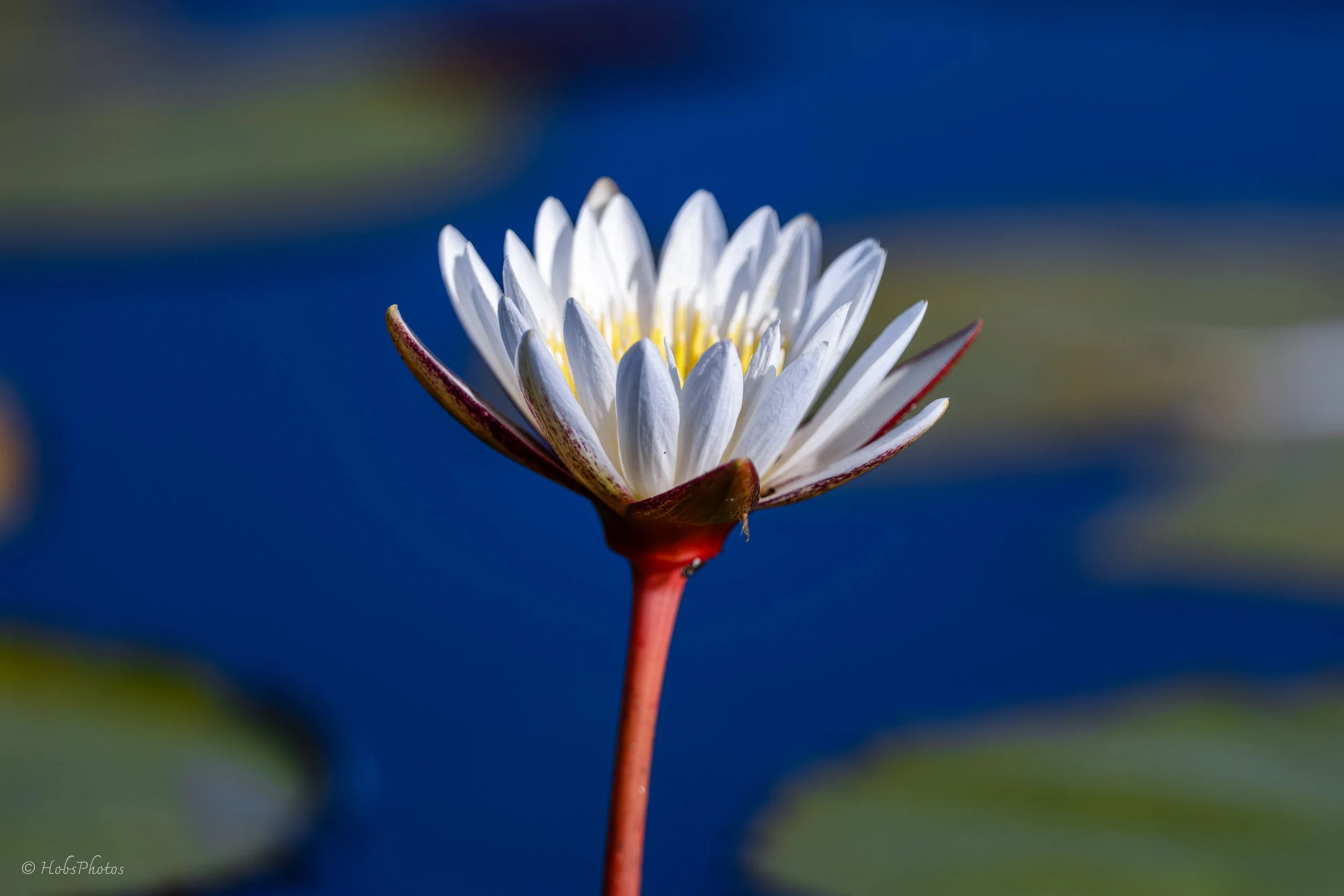 3N0A5534.jpg