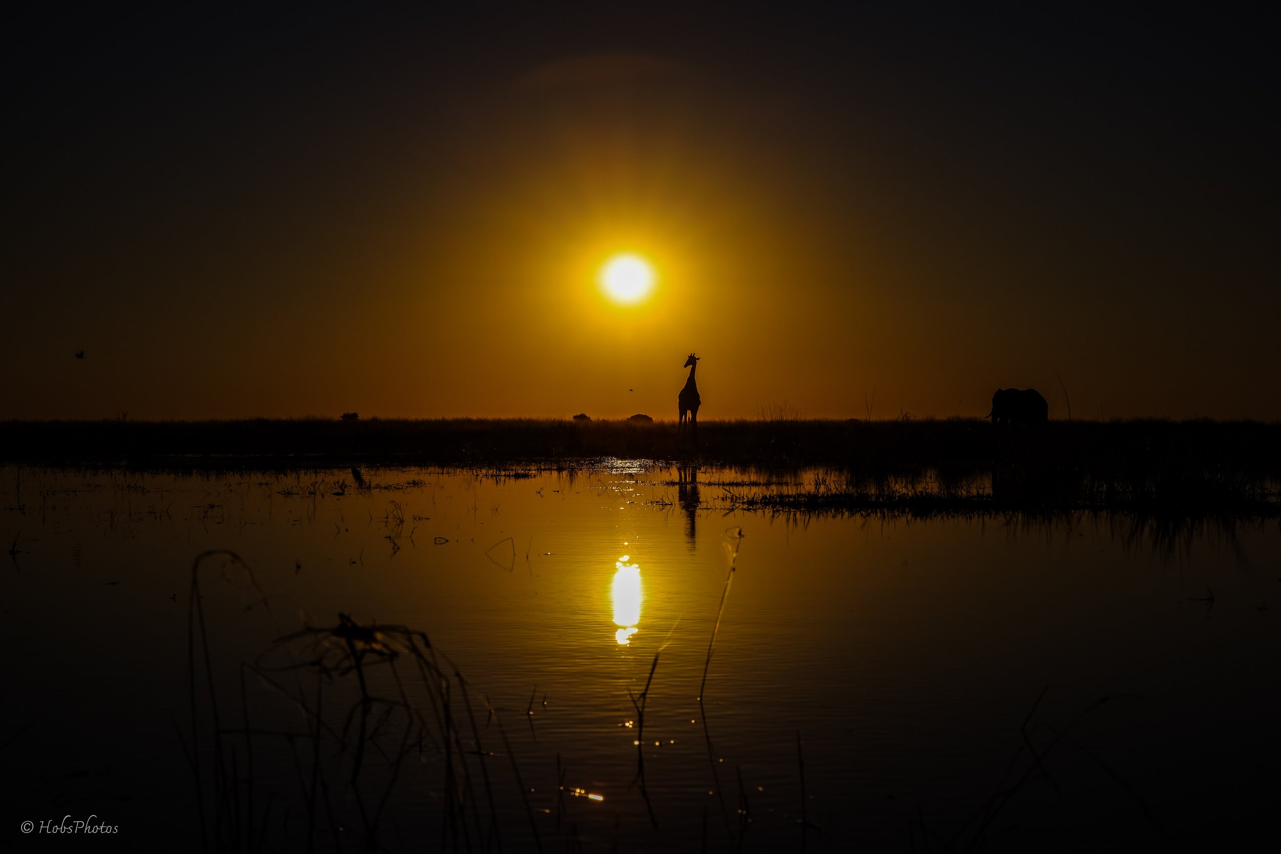 3N0A8728.jpg