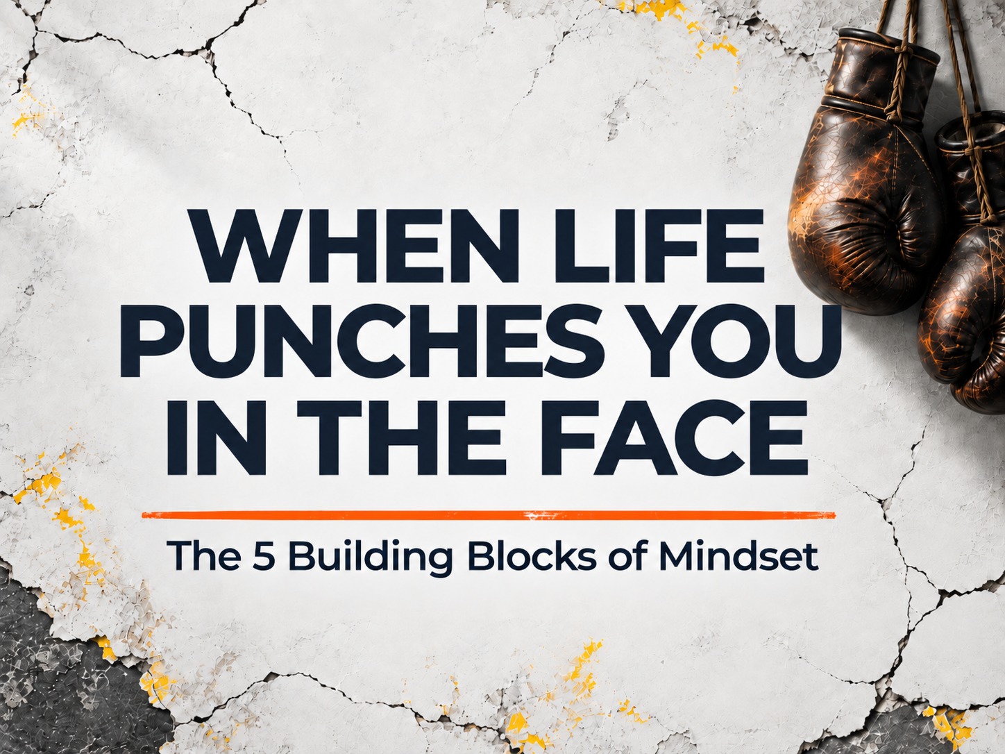 EVERYONE HAS A PLAN. UNTIL THEY GET PUNCHED IN THE FACE.