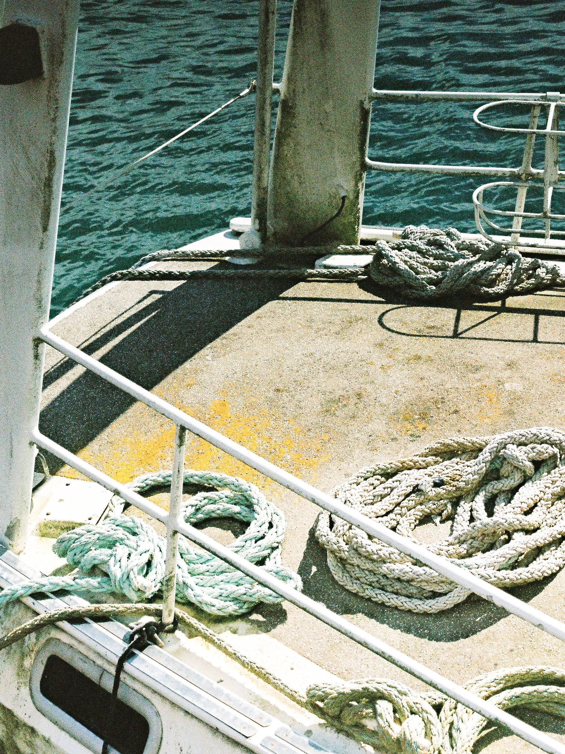 IMG_3726.jpg