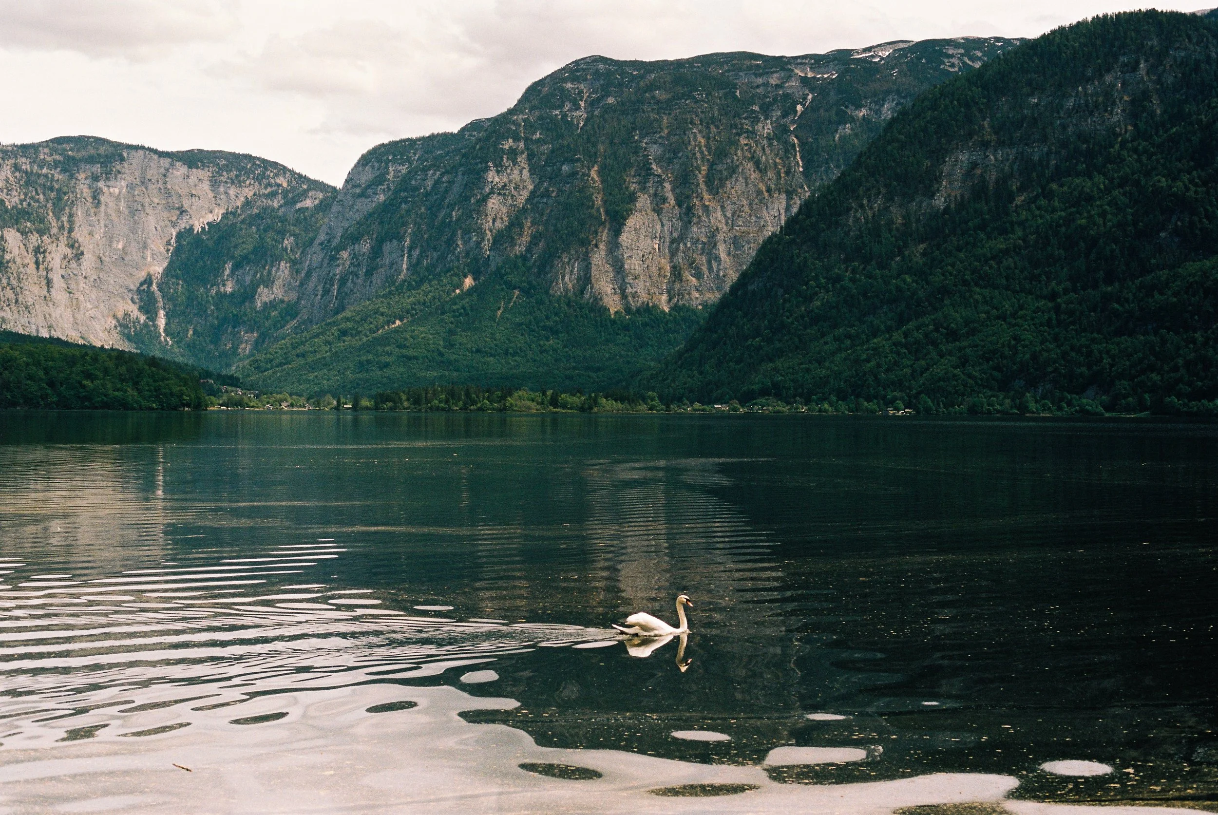 000037-3.jpg