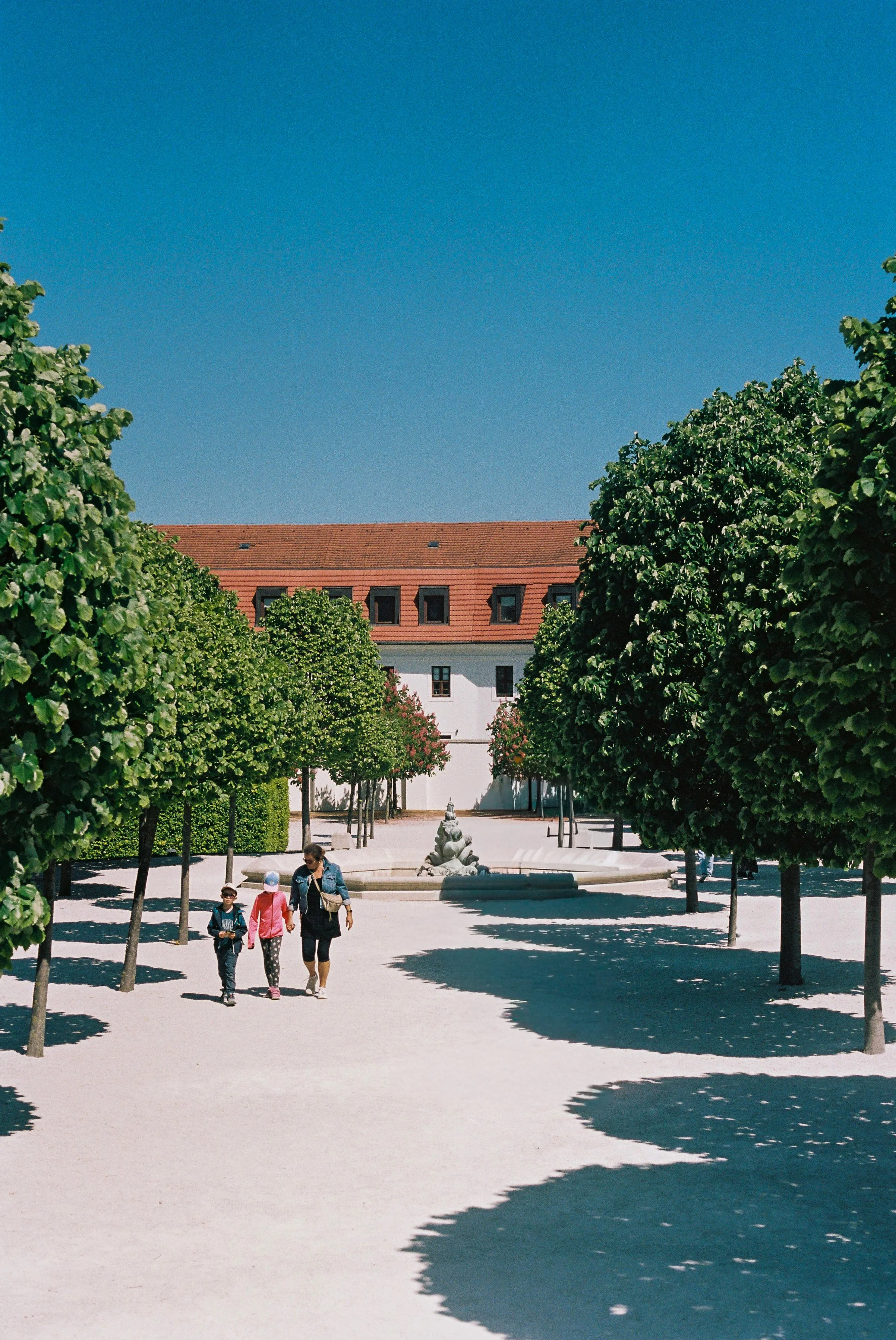 000015-4.jpg