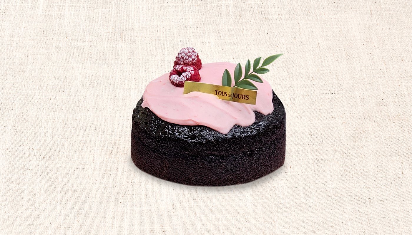 Plantastic Raspberry Choco Cake.jpg