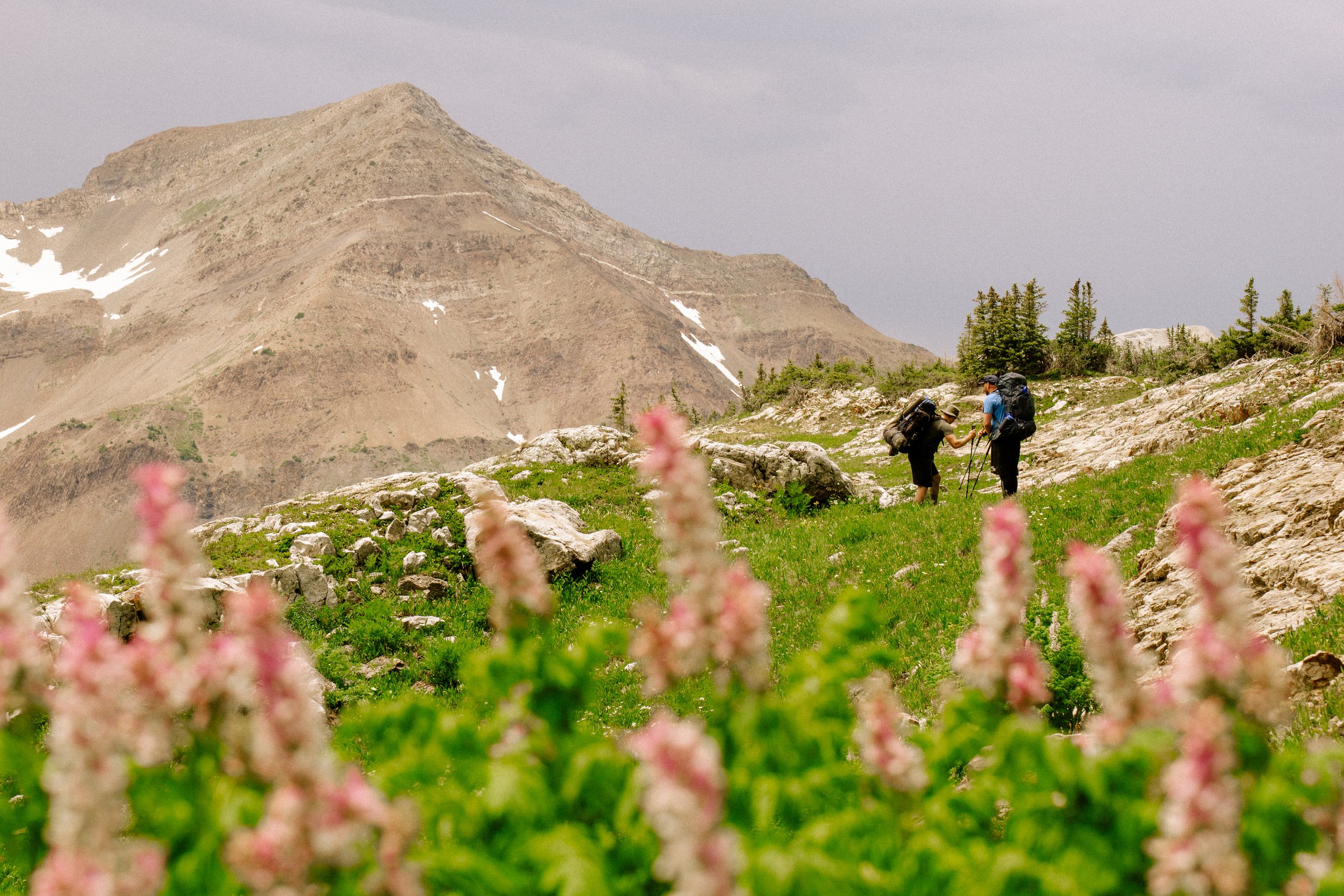 Taken during a backpacking trek in the Ragged Wilderness near Crested Butte, Colorado. 
