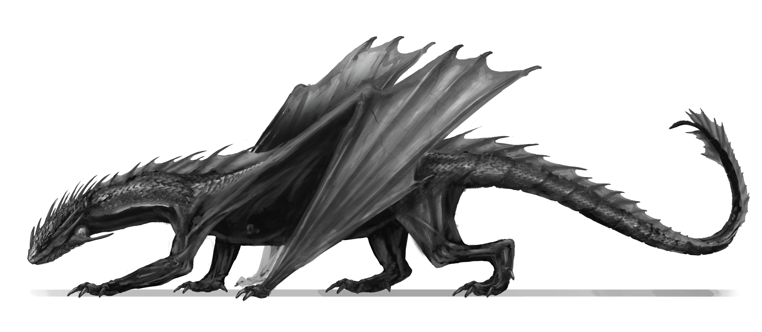 Adult Green Dragon by Vikroart