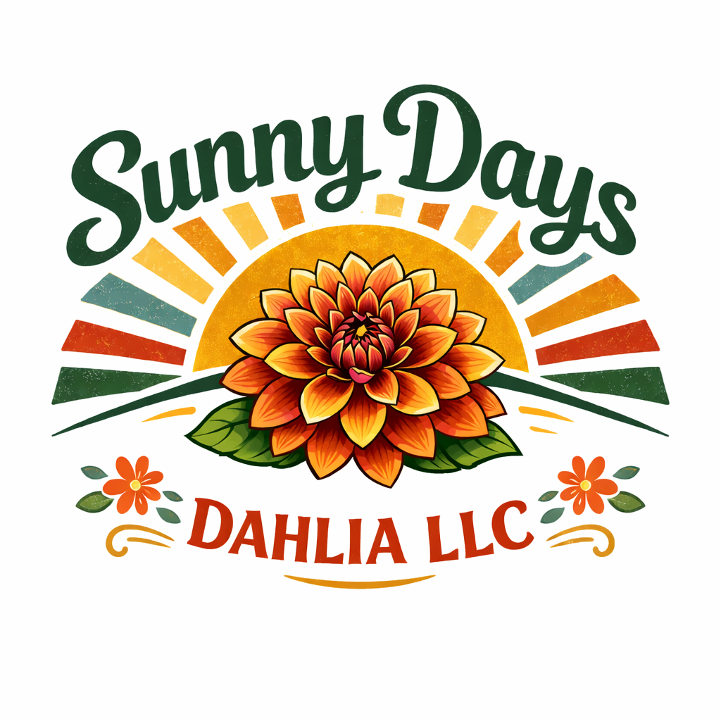 Sunny Days Dahlia