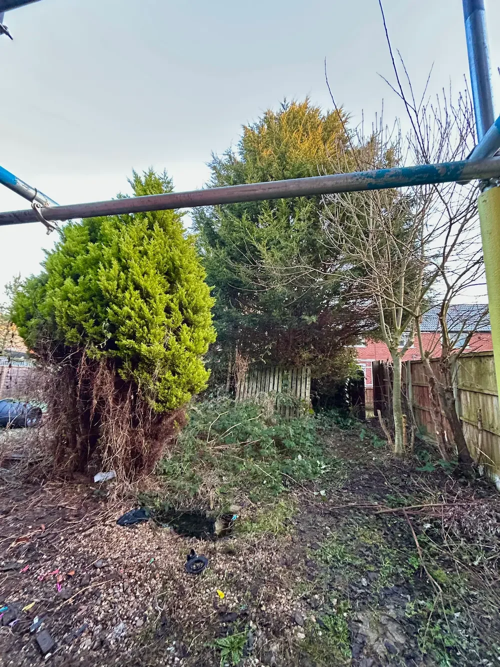 Backyard with trees, a wooden fence, dirt ground with debris, and a metal frame in the foreground.