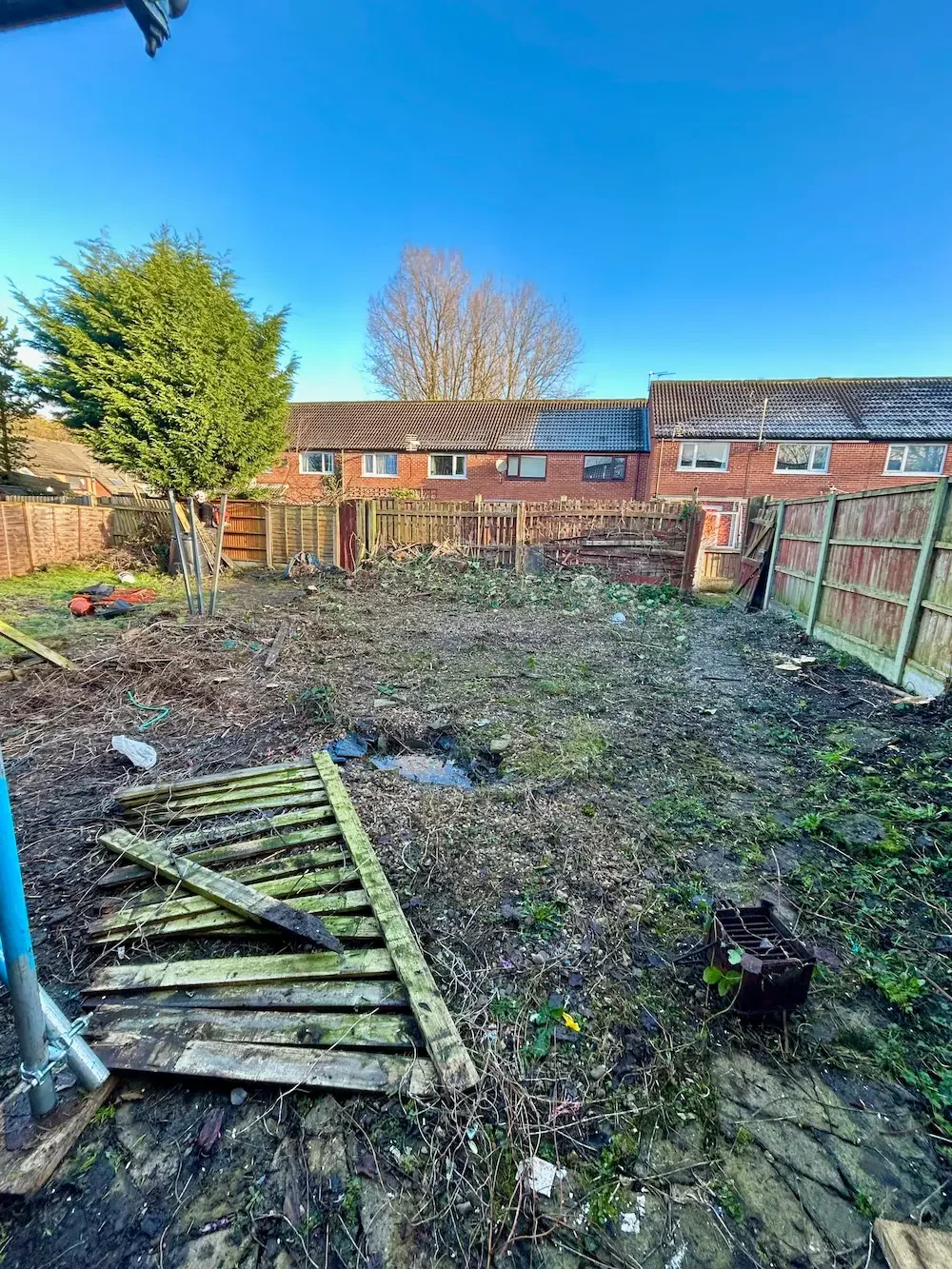 Empty backyard with a fallen wooden gate, scattered trash, a small black crate, and a large tree on the left, surrounded by a wooden fence and neighboring houses in the background.