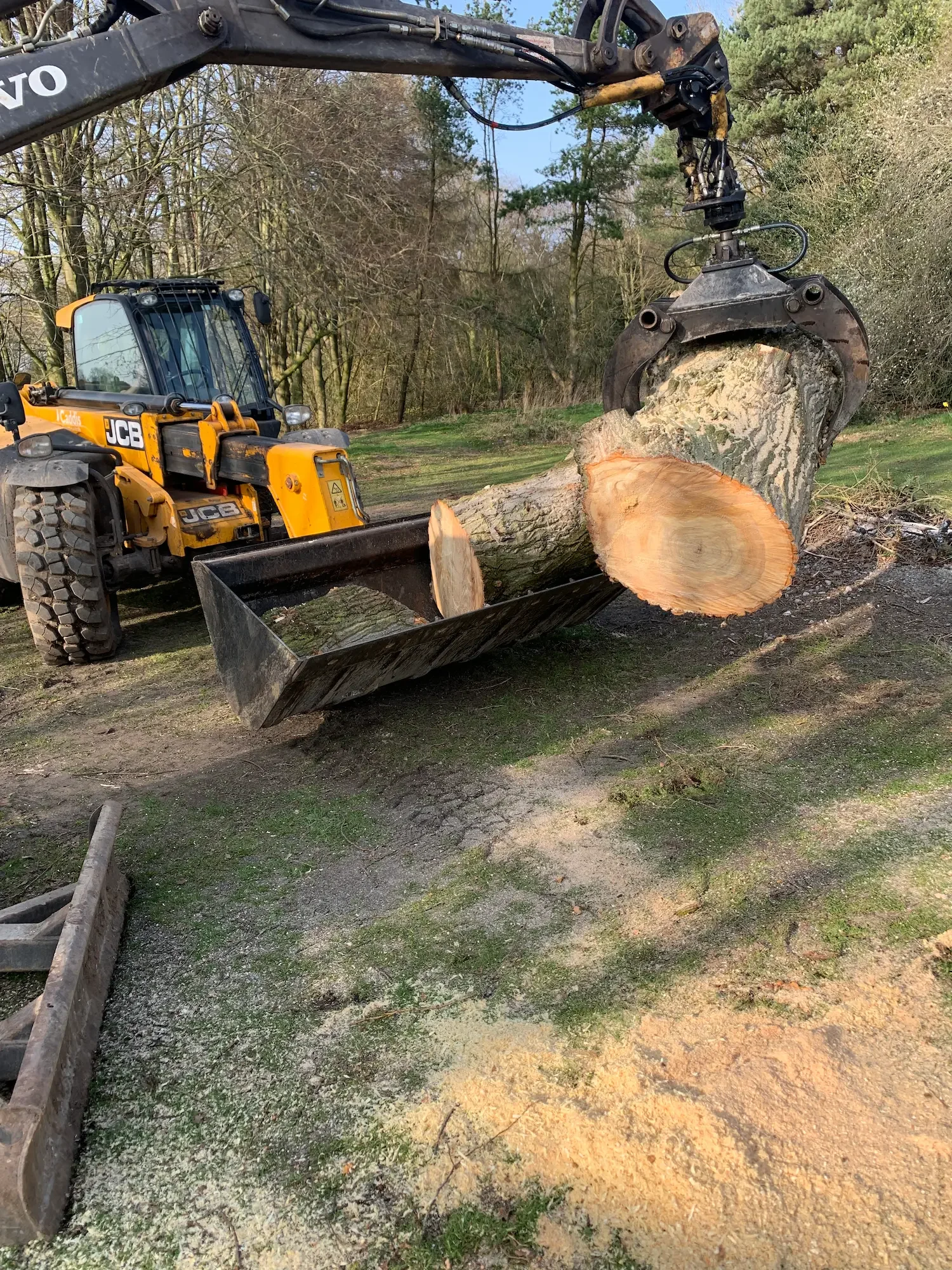 A large yellow JCB backhoe loader is lifting a cut tree trunk with a hydraulic claw in an outdoor rural setting with trees and grasses.