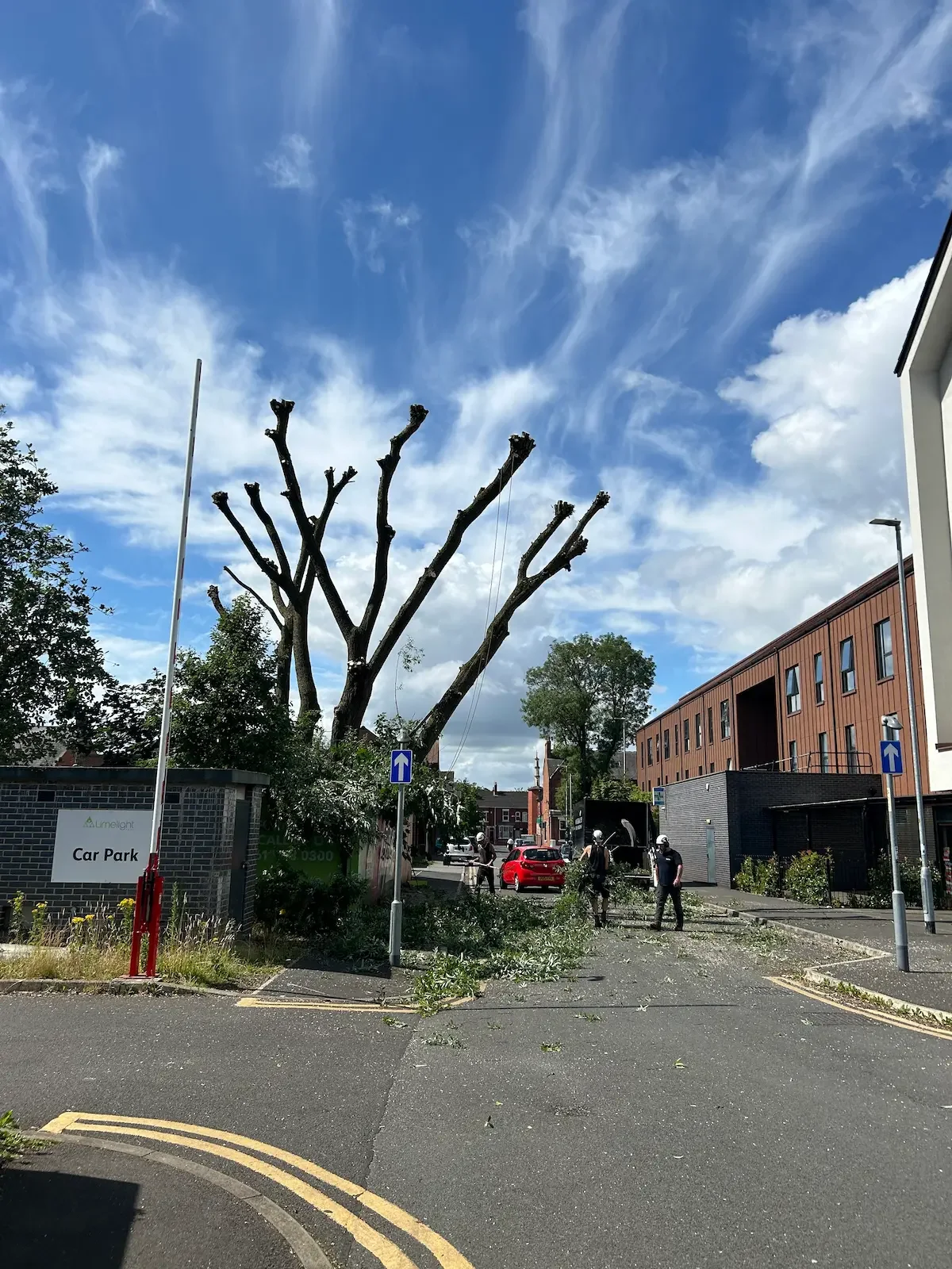 A tree has been cut down in a parking lot, with branches and debris on the ground. A few workers are present, and a tree with pruned branches is visible on the street. A building with modern architecture and a blue sky with clouds are in the background.
