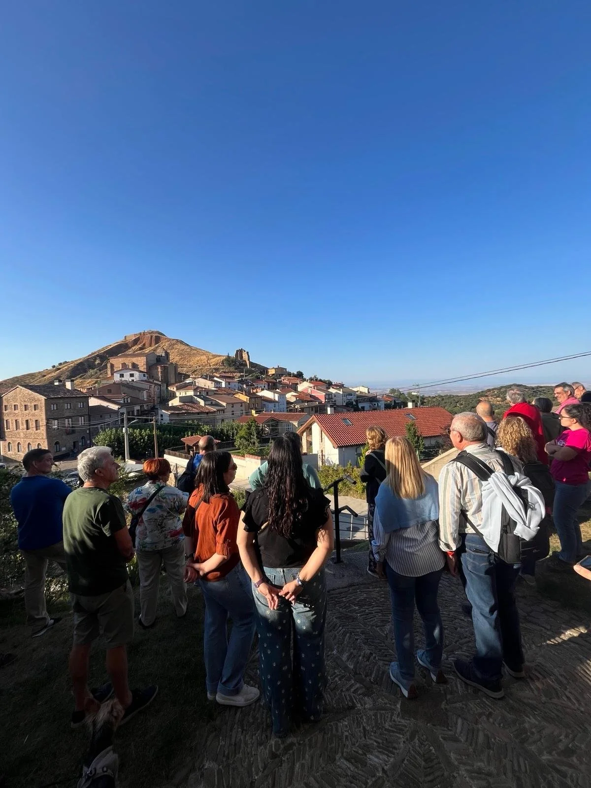 WhatsApp Image 2025-08-27 at 15.11.41.jpeg