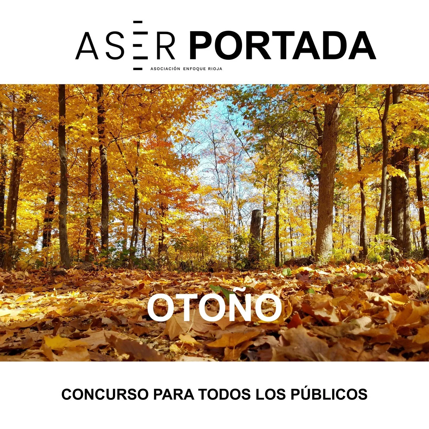 🏅CONCURSO MENSUAL🏅

TEMA DE OCTUBRE: &ldquo;OTO&Ntilde;O&quot;

#aserconcursooctubre25

Aficionados a la fotograf&iacute;a, ya est&aacute; aqu&iacute; nuestro concurso por temas donde poner en pr&aacute;ctica algunos de los secretos de la fotograf&