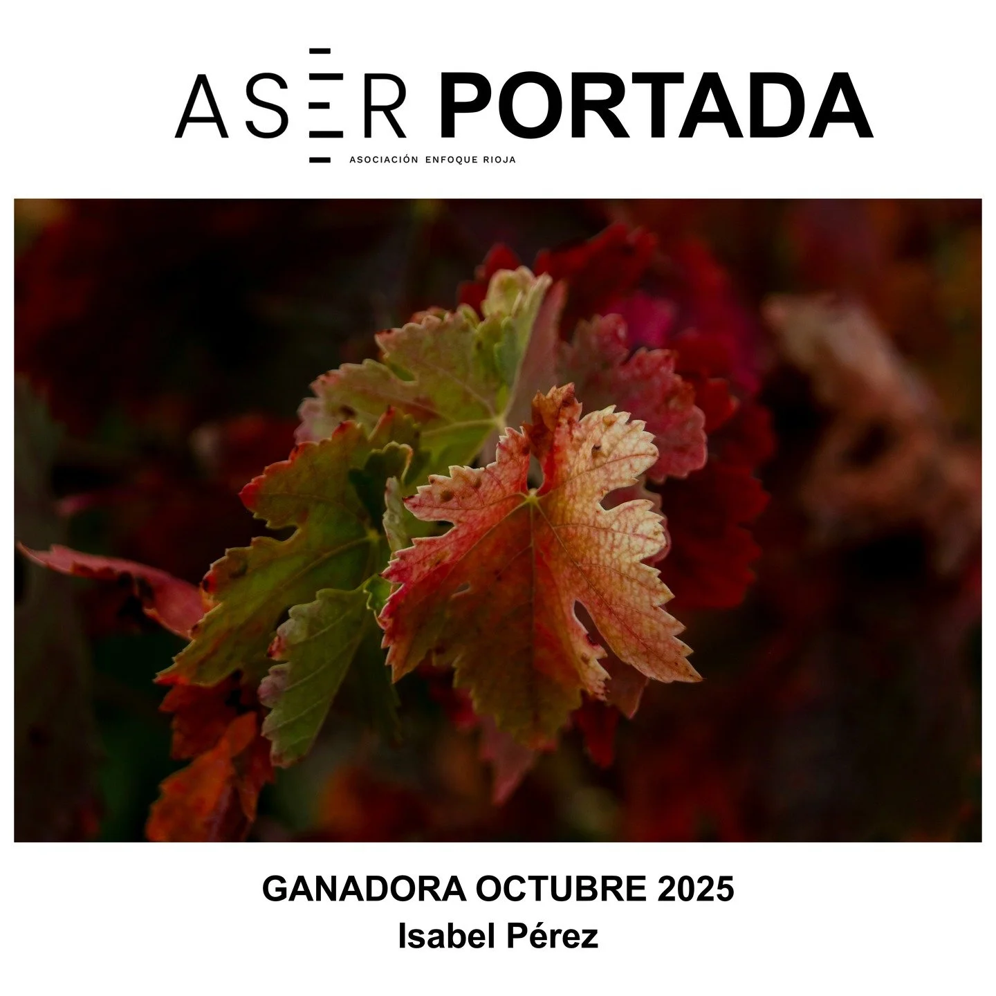 🥇GANADORA DEL CONCURSO MENSUAL &ndash; OCTUBRE 2025 🥇

Ya tenemos ganadora del concurso de este mes con tem&aacute;tica OTO&Ntilde;O. Queremos darle toda nuestra enhorabuena a @isafoto86 por esta maravillosa foto que ha presentado. 🎉👏🎊

Tambi&ea