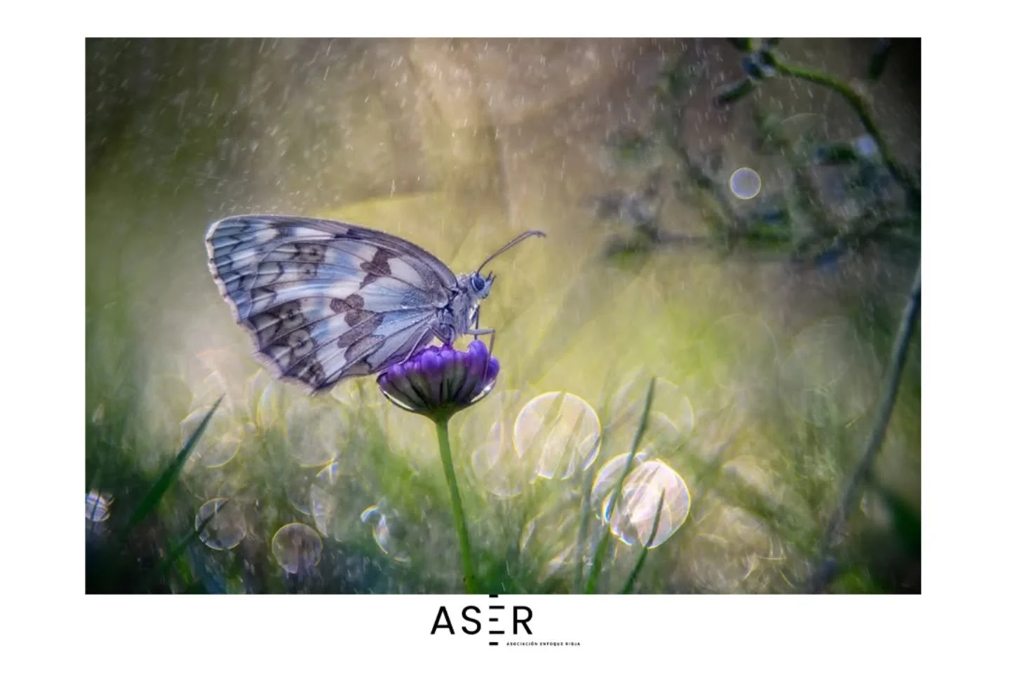 &iexcl;Foto destacada en #enfoquerioja!
Nos dej&aacute;is alucinando con vuestras publicaciones&hellip;
Hoy queremos dar protagonismo a la mirada &uacute;nica de @marpaos con este pedazo de foto 📸✨

#enfoquerioja sigue creciendo gracias a vosotros, 