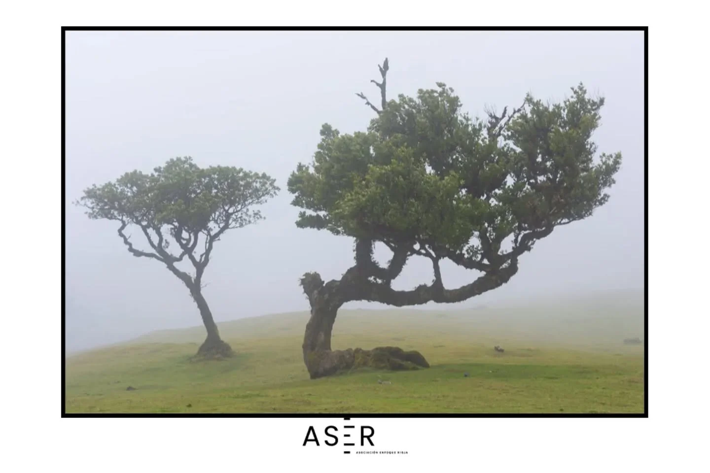 _ASER

&iexcl;Foto destacada en #enfoquerioja!
Nos dej&aacute;is alucinando con vuestras publicaciones&hellip;
Hoy queremos dar protagonismo a la mirada &uacute;nica de @martaruizfotos con este pedazo de foto 📸✨

#enfoquerioja sigue creciendo gracia