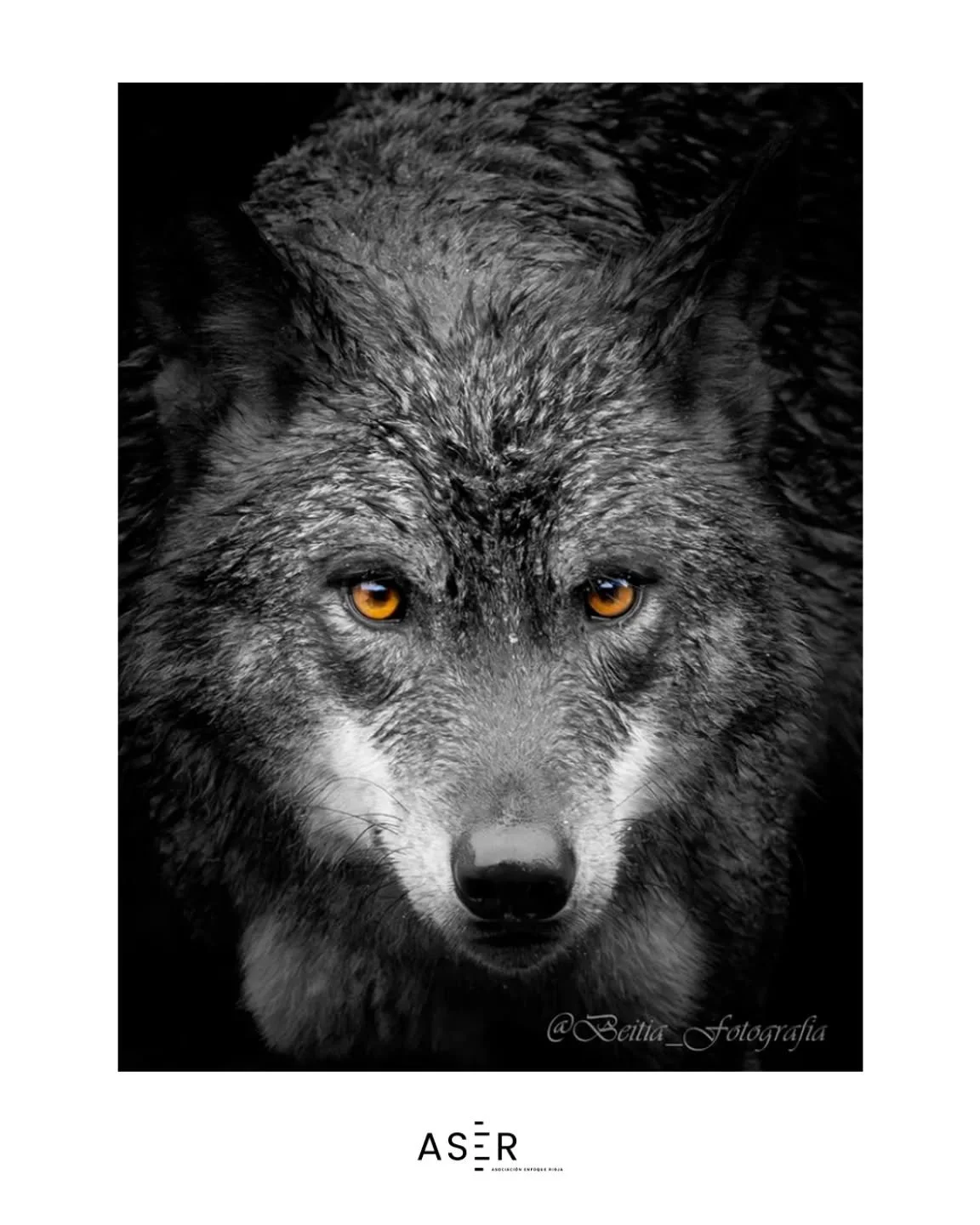 &iexcl;Foto destacada en #enfoquerioja!
Nos dej&aacute;is alucinando con vuestras publicaciones&hellip;
Hoy queremos dar protagonismo a la mirada &uacute;nica de @beitia_fotografia con este pedazo de foto 📸✨

#enfoquerioja sigue creciendo gracias a 