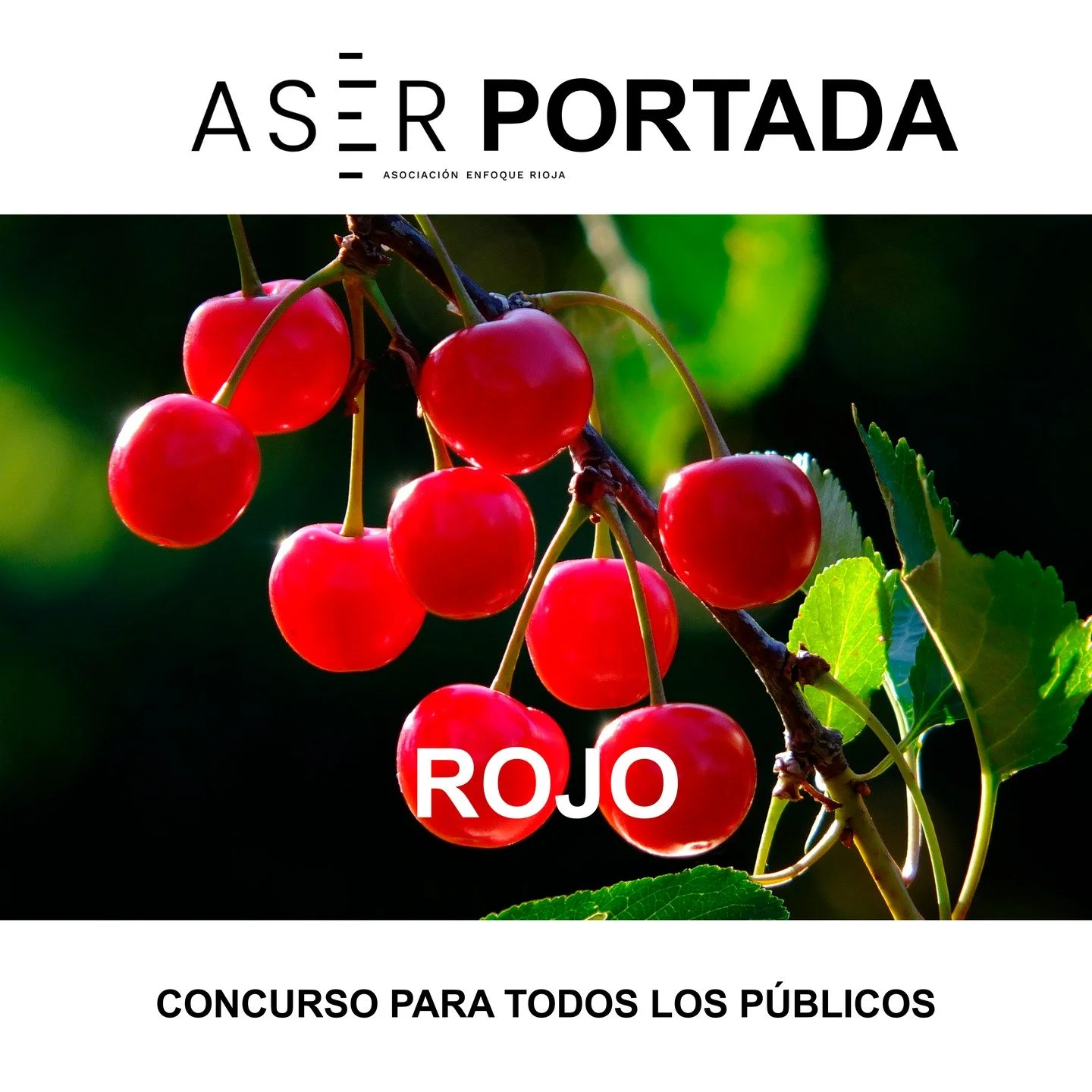🏅CONCURSO MENSUAL🏅

TEMA DE DICIEMBRE: &ldquo;ROJO&quot;

#aserconcursodiciembre25

Aficionados a la fotograf&iacute;a, ya est&aacute; aqu&iacute; nuestro concurso por temas donde poner en pr&aacute;ctica algunos de los secretos de la fotograf&iacu