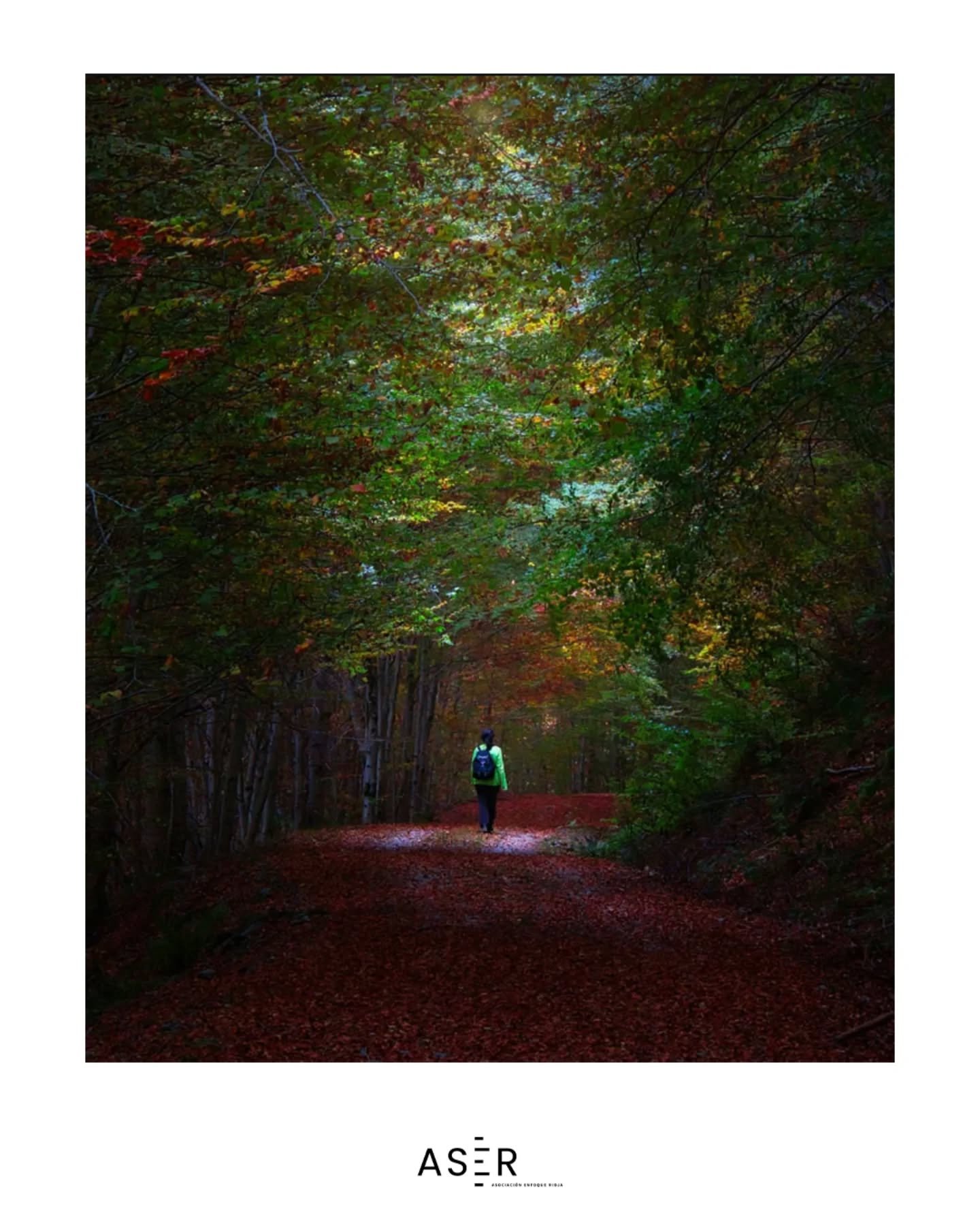 &iexcl;Foto destacada en #enfoquerioja!
Nos dej&aacute;is alucinando con vuestras publicaciones&hellip;
Hoy queremos dar protagonismo a la mirada &uacute;nica de @lujan6853 con este pedazo de foto 📸✨

#enfoquerioja sigue creciendo gracias a vosotros