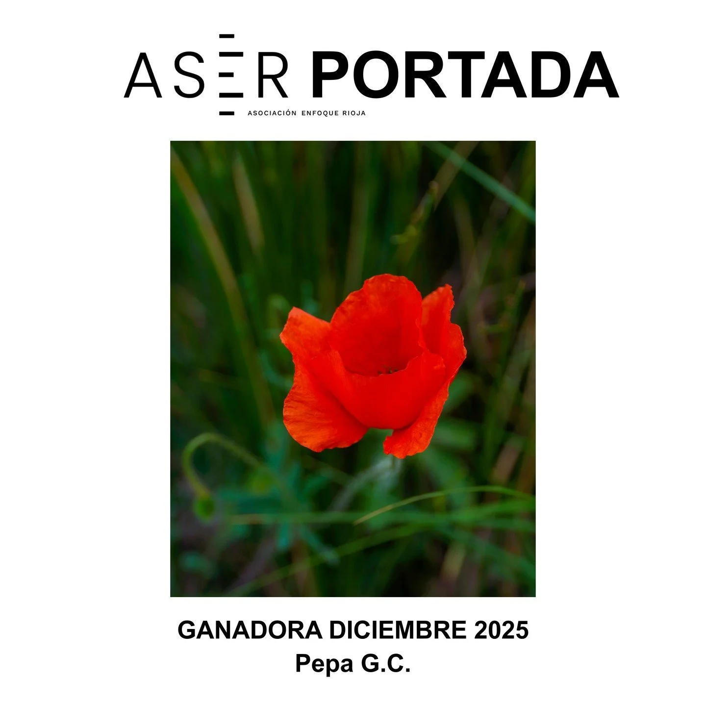 🥇GANADORA DEL CONCURSO MENSUAL &ndash; DICIEMBRE 2025 🥇

Ya tenemos ganadora del concurso de este mes con tem&aacute;tica ROJO. Queremos darle toda nuestra enhorabuena a @peppa_mj por esta maravillosa foto que ha presentado. 🎉👏🎊

Tambi&eacute;n 