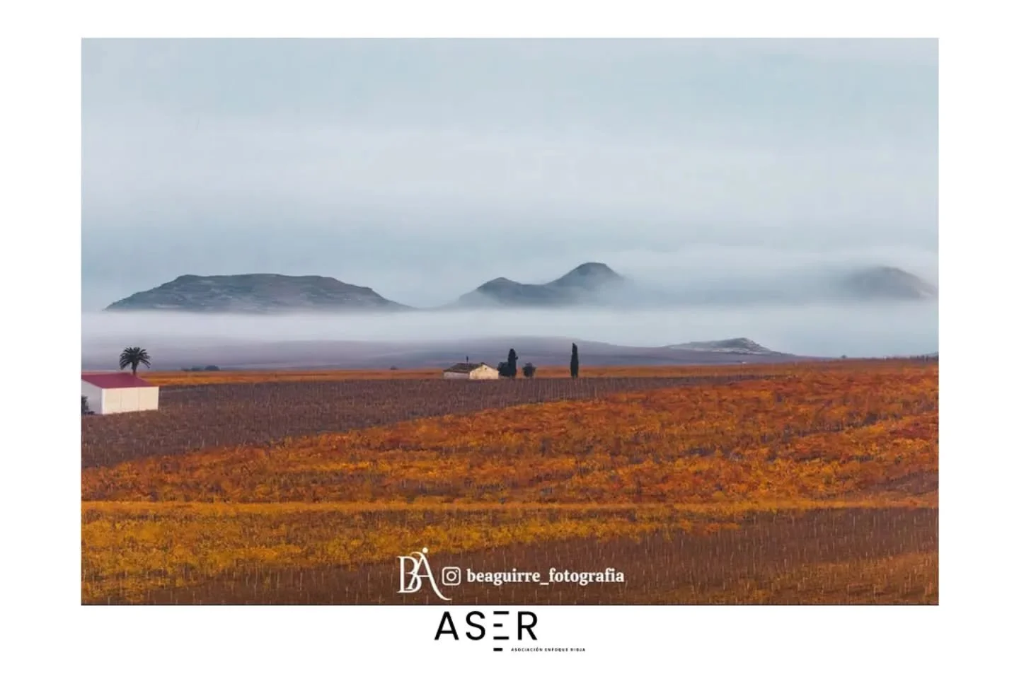 &iexcl;Foto destacada en #enfoquerioja!
Nos dej&aacute;is alucinando con vuestras publicaciones&hellip;
Hoy queremos dar protagonismo a la mirada &uacute;nica de @beaguirre_fotografia con este pedazo de foto 📸✨

#enfoquerioja sigue creciendo gracias