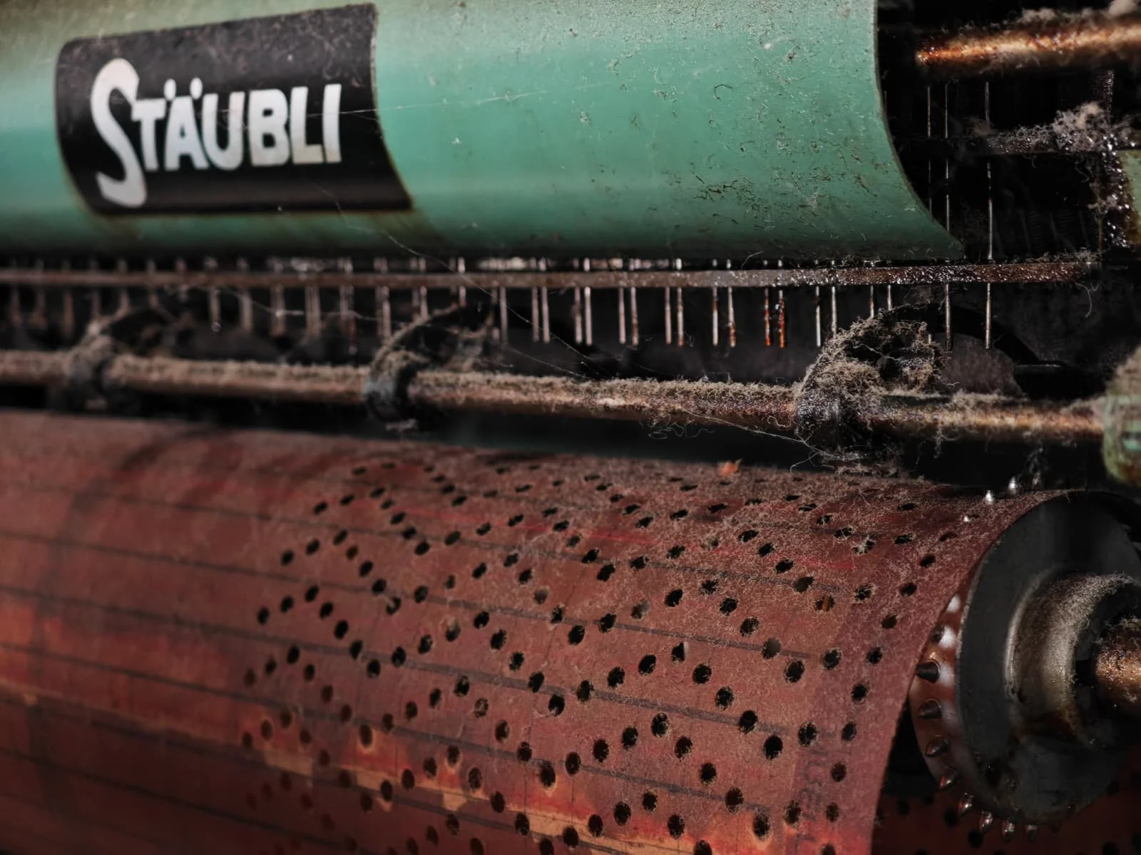 Rioja escondida Enciso 7.jpeg