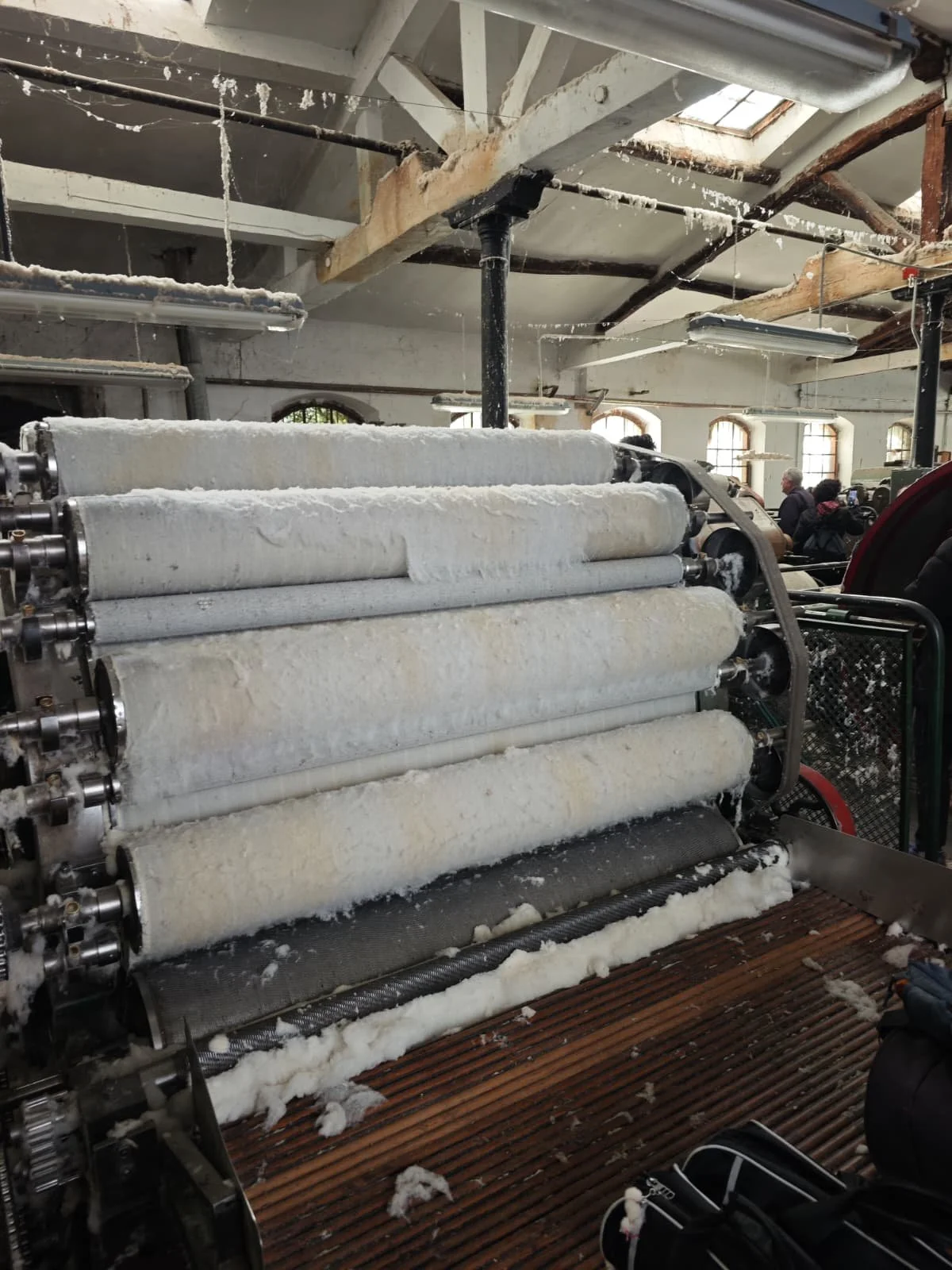 Rioja escondida Enciso 8.jpeg