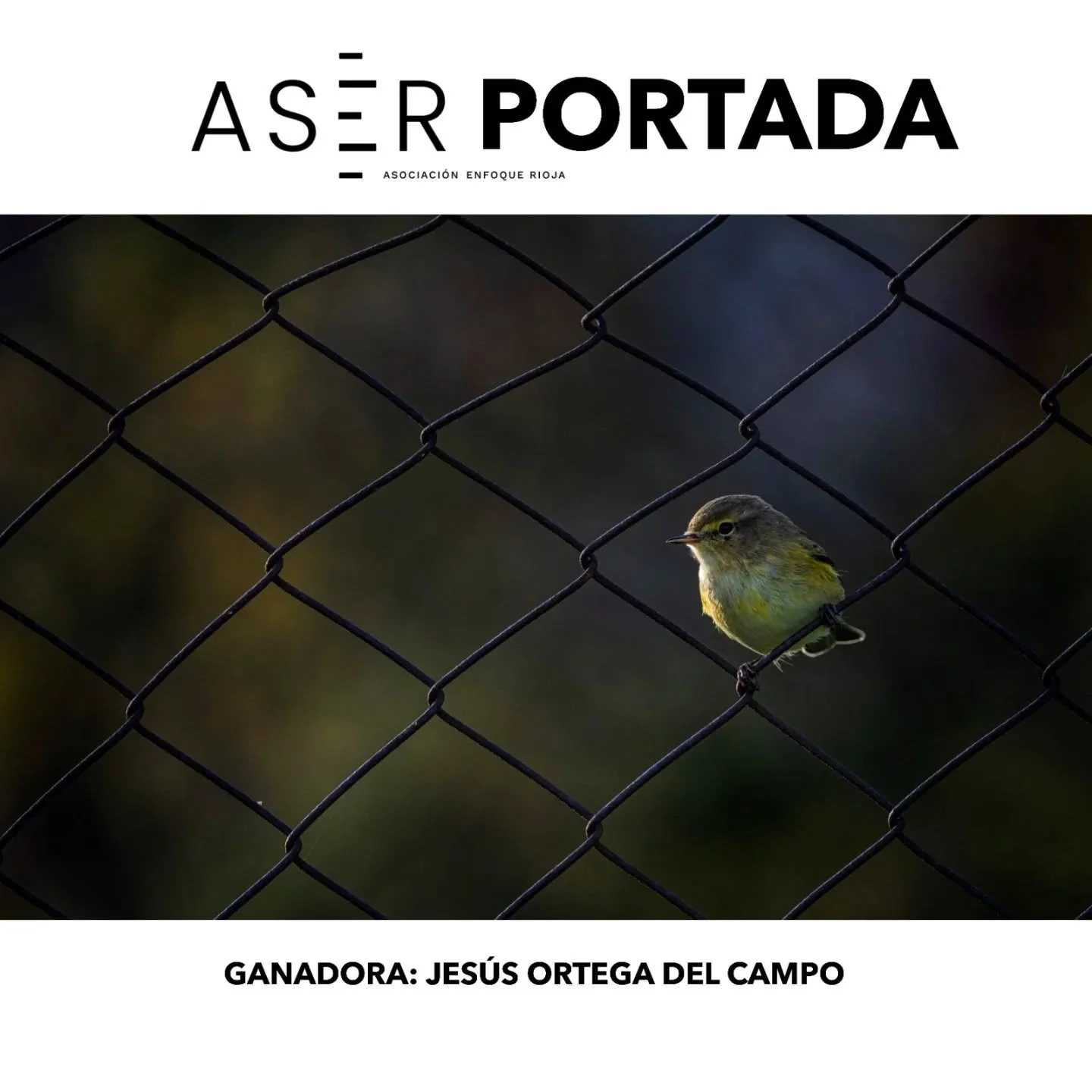 🥇GANADORA DEL CONCURSO MENSUAL &ndash; MARZO 2026 🥇

Ya tenemos ganadora del concurso con tem&aacute;tica AVES. Queremos darle toda nuestra enhorabuena a Jes&uacute;s Ortega del Campo @jesortega_ por esta maravillosa foto que ha presentado. 🎉👏🎊
