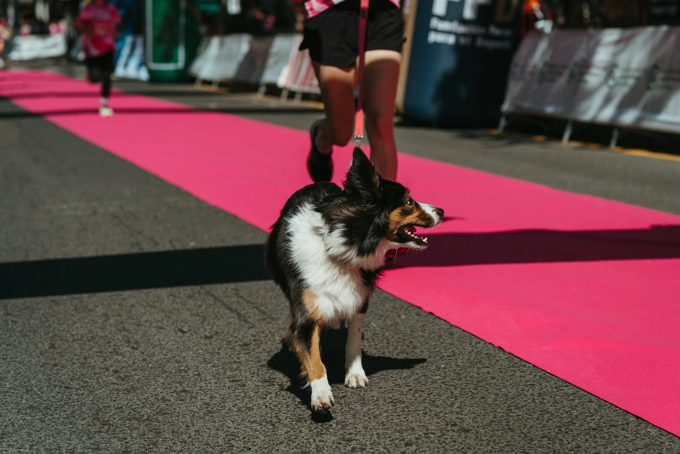 Carrera de la mujer 2026 - Enfoque Rioja - Ayuntamiento-25.jpg