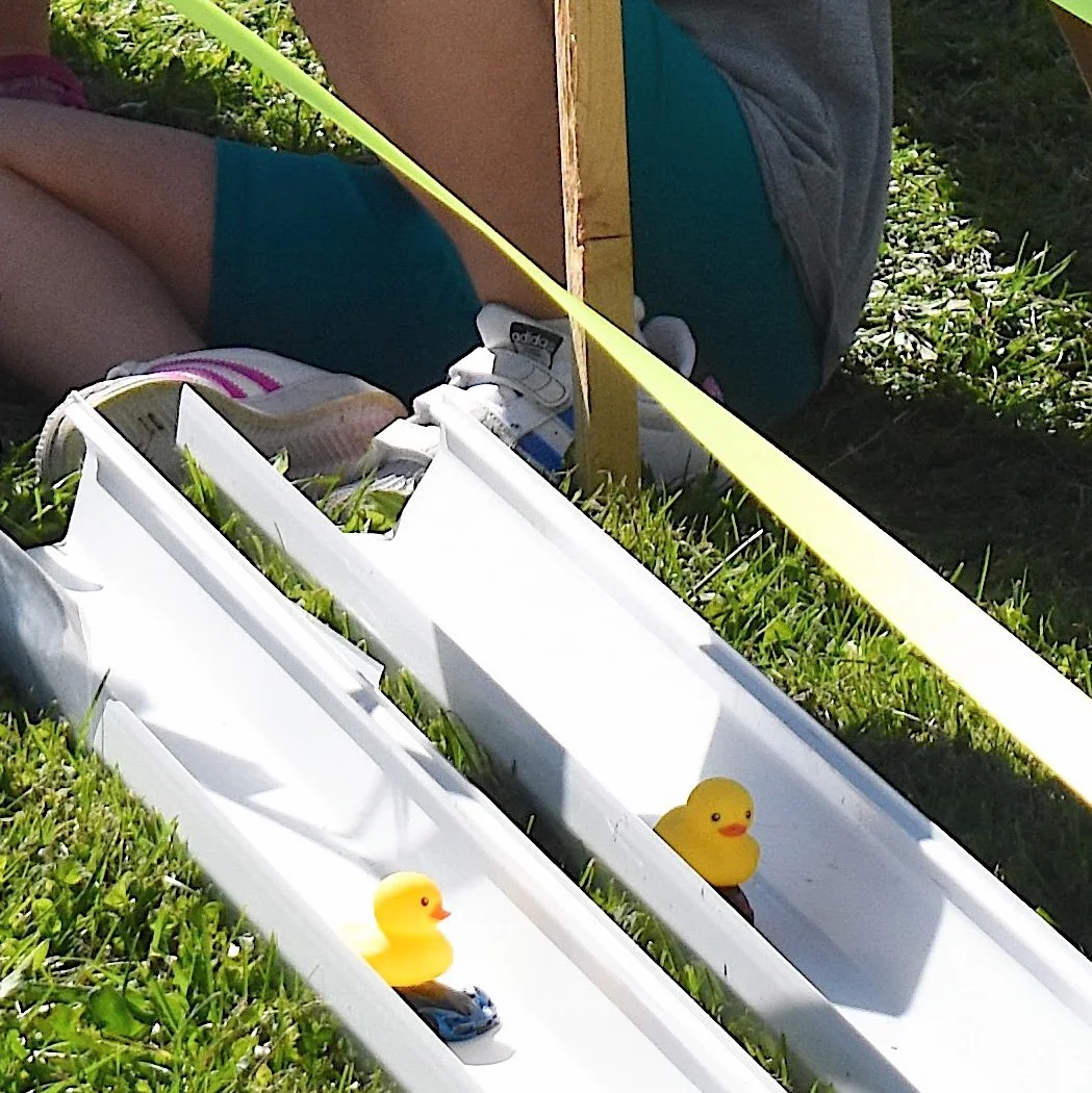 Souvenir Duck Racer (Optional)