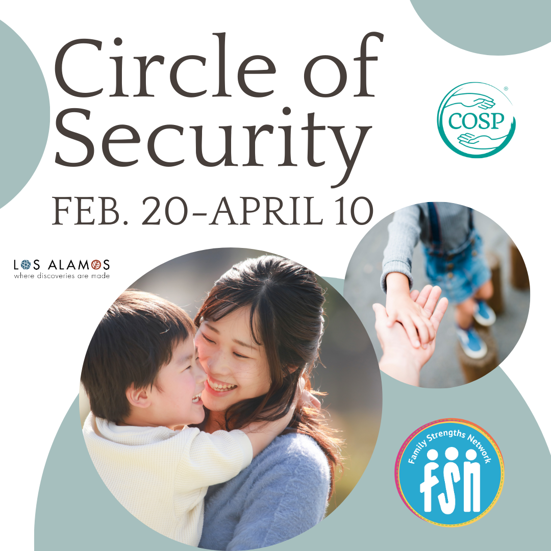 Circle of Security.png