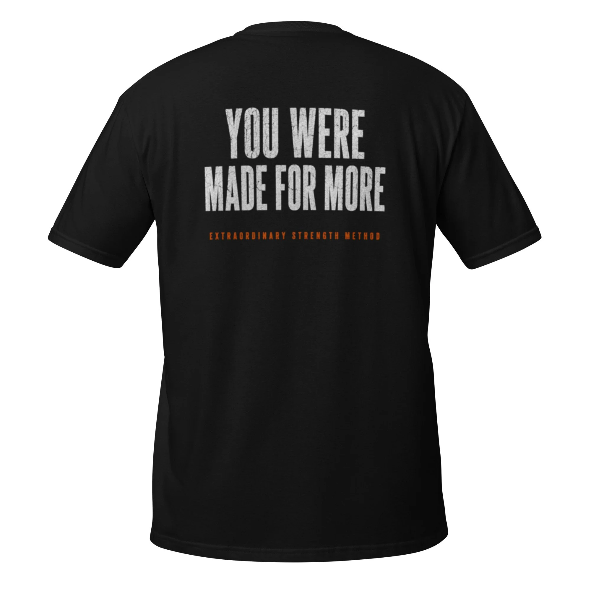 unisex-basic-softstyle-t-shirt-black-back-6a2d3d3212916.jpg