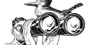 The Anatomy of a Blind Spot: Why SMB Leaders Miss What Matters Most