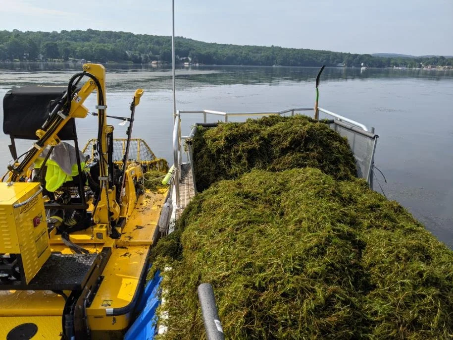 Bog and Slime: The Future of Fuel