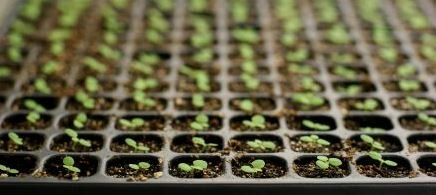 Agricultural Business Plan