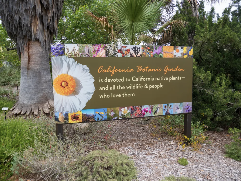 The California Botanic Garden and Life at Pilgrim Place