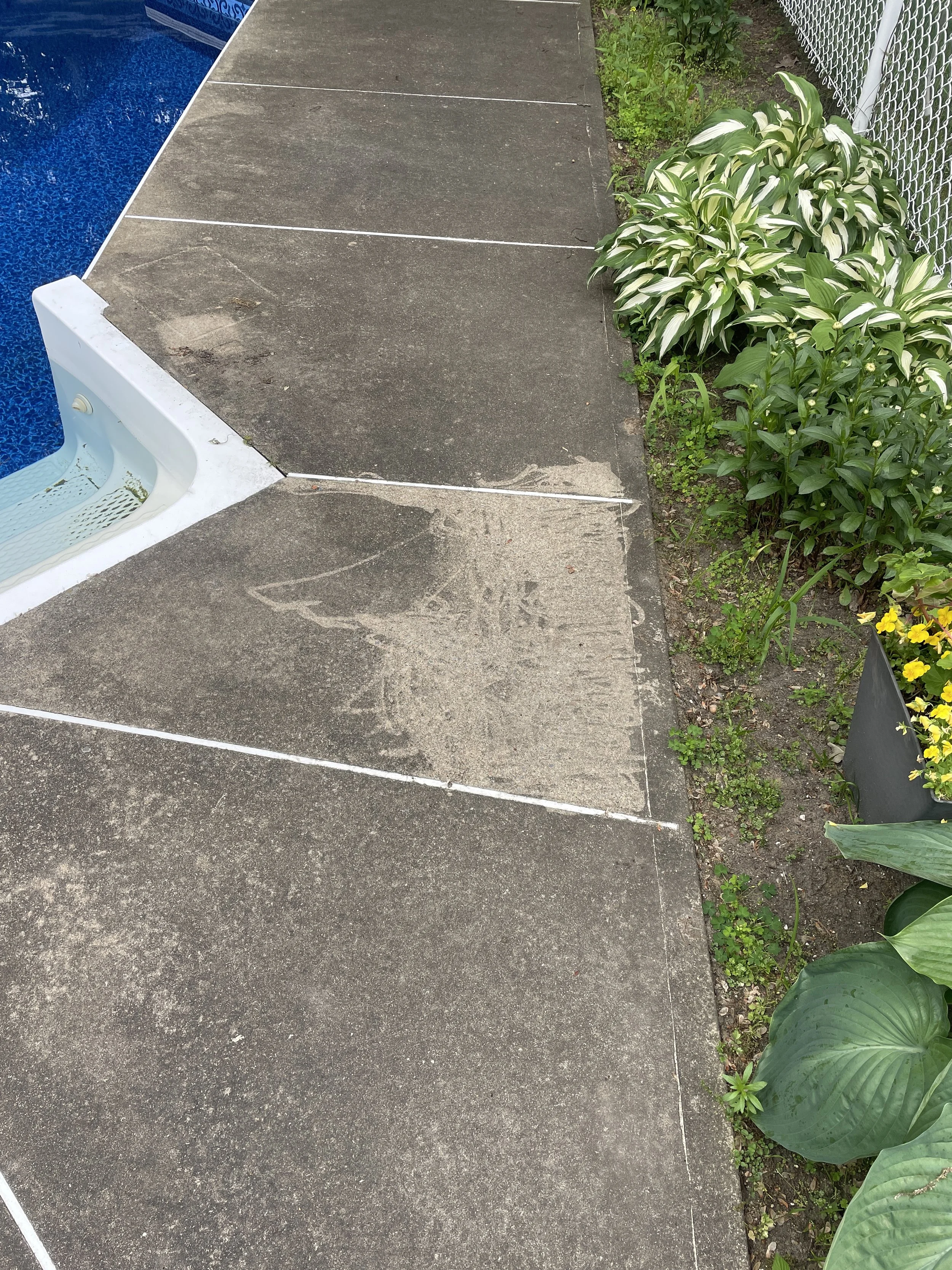 Flaques d'eau sale sur le trottoir en béton à côté d'une piscine et de plantes vertes.