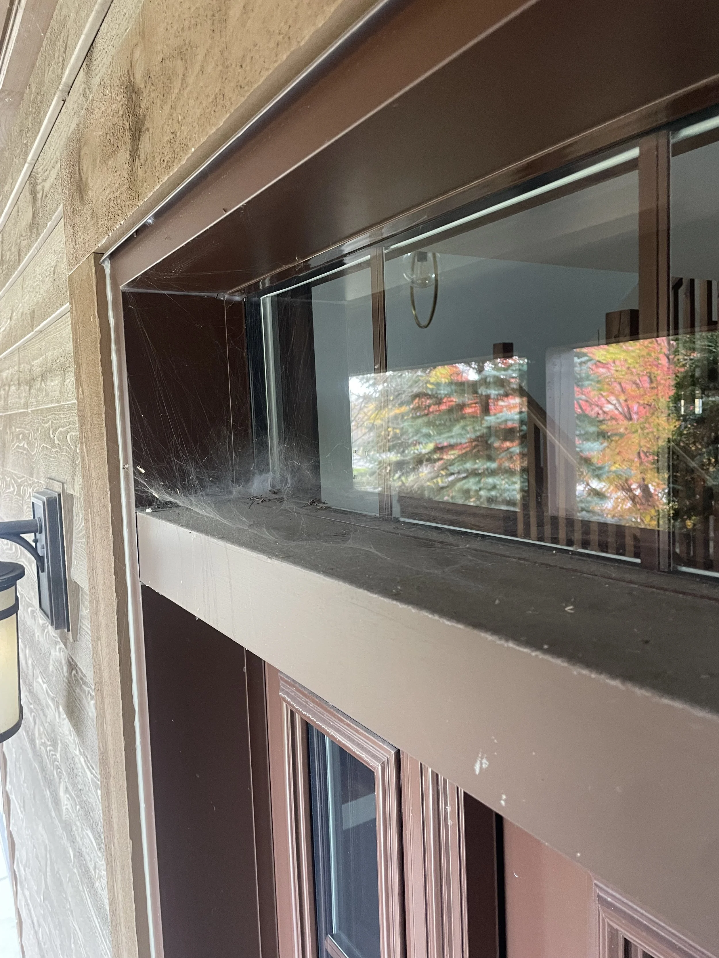 Vue de côté d'une fenêtre avec un rebord en béton ou pierre, avec des toiles d'araignées accumulées sur le coin intérieur.