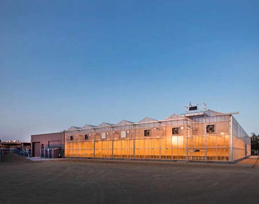 Exterior view of the PARADIGM Structural Engineers Bayer CropScience facility featuring a modern agricultural greenhouse structure at dusk.
